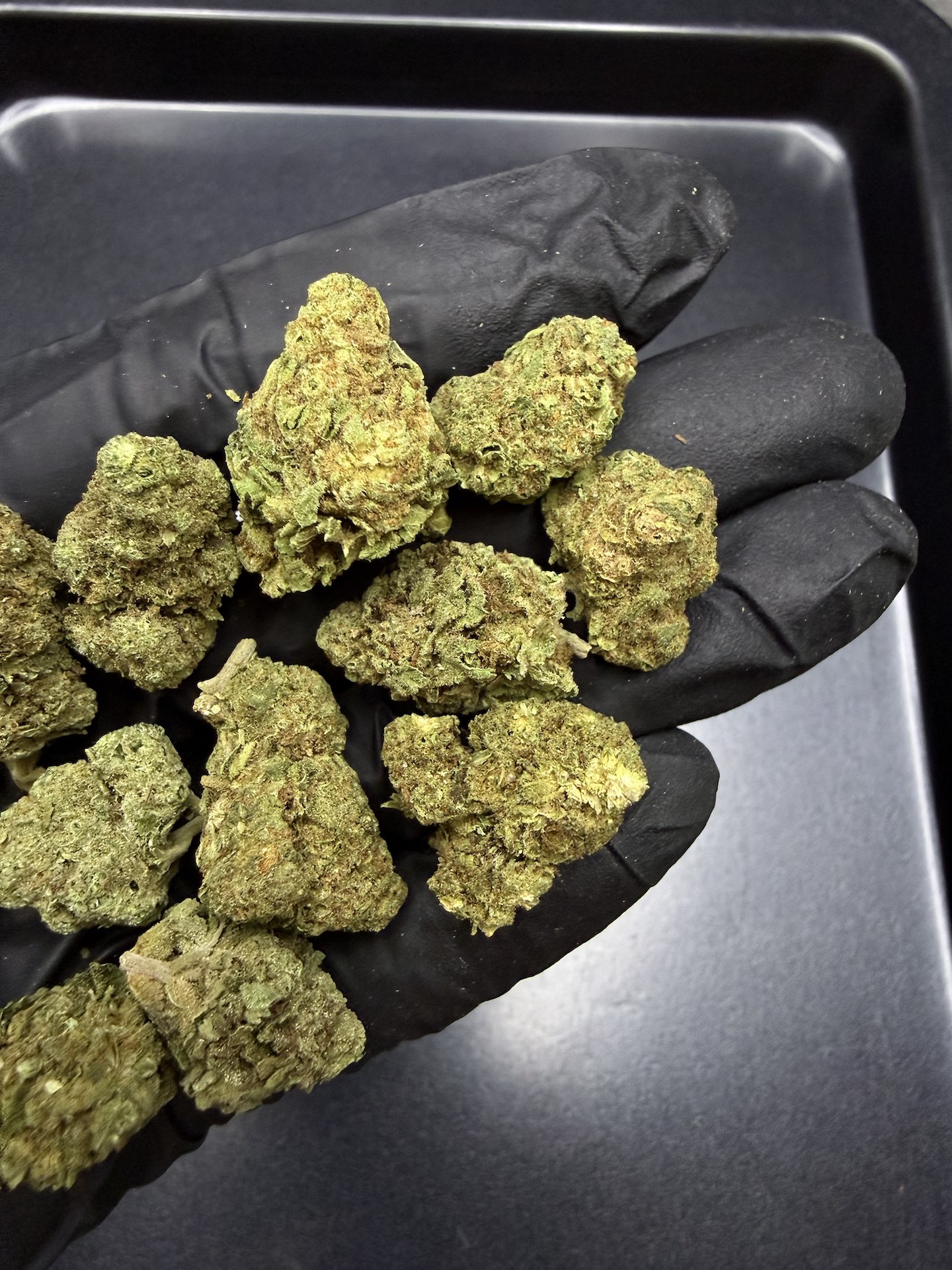 3 Kings THC 25% ðļ - Image 5