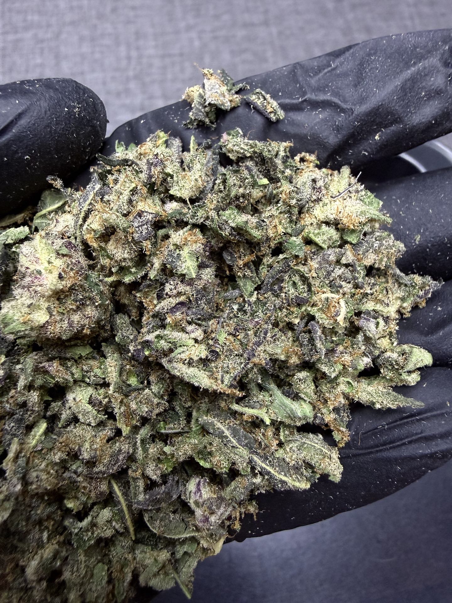 ทริม+ดอกแตก Motor Breath By. Blimburn Seeds THC 25-30% - Image 2