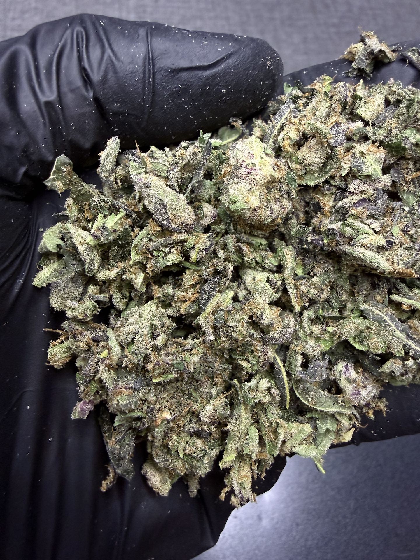 ทริม+ดอกแตก Motor Breath By. Blimburn Seeds THC 25-30% - Image 3