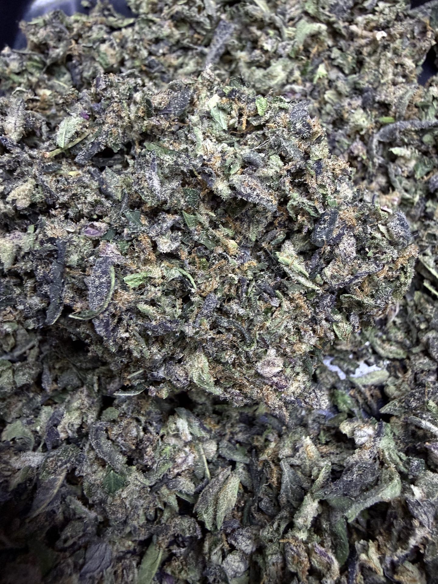 ทริม+ดอกแตก Motor Breath By. Blimburn Seeds THC 25-30% - Image 5