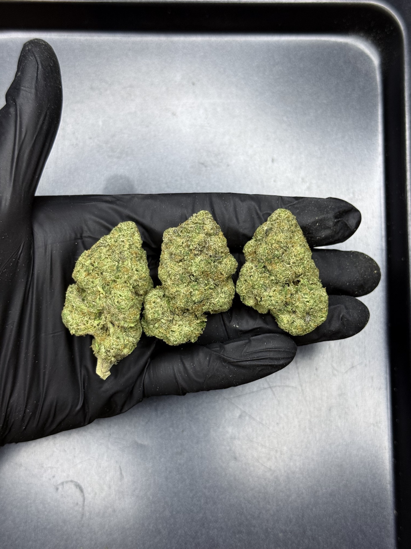 Apple Zoap by. Lit Farms THC 25-30% - Image 2