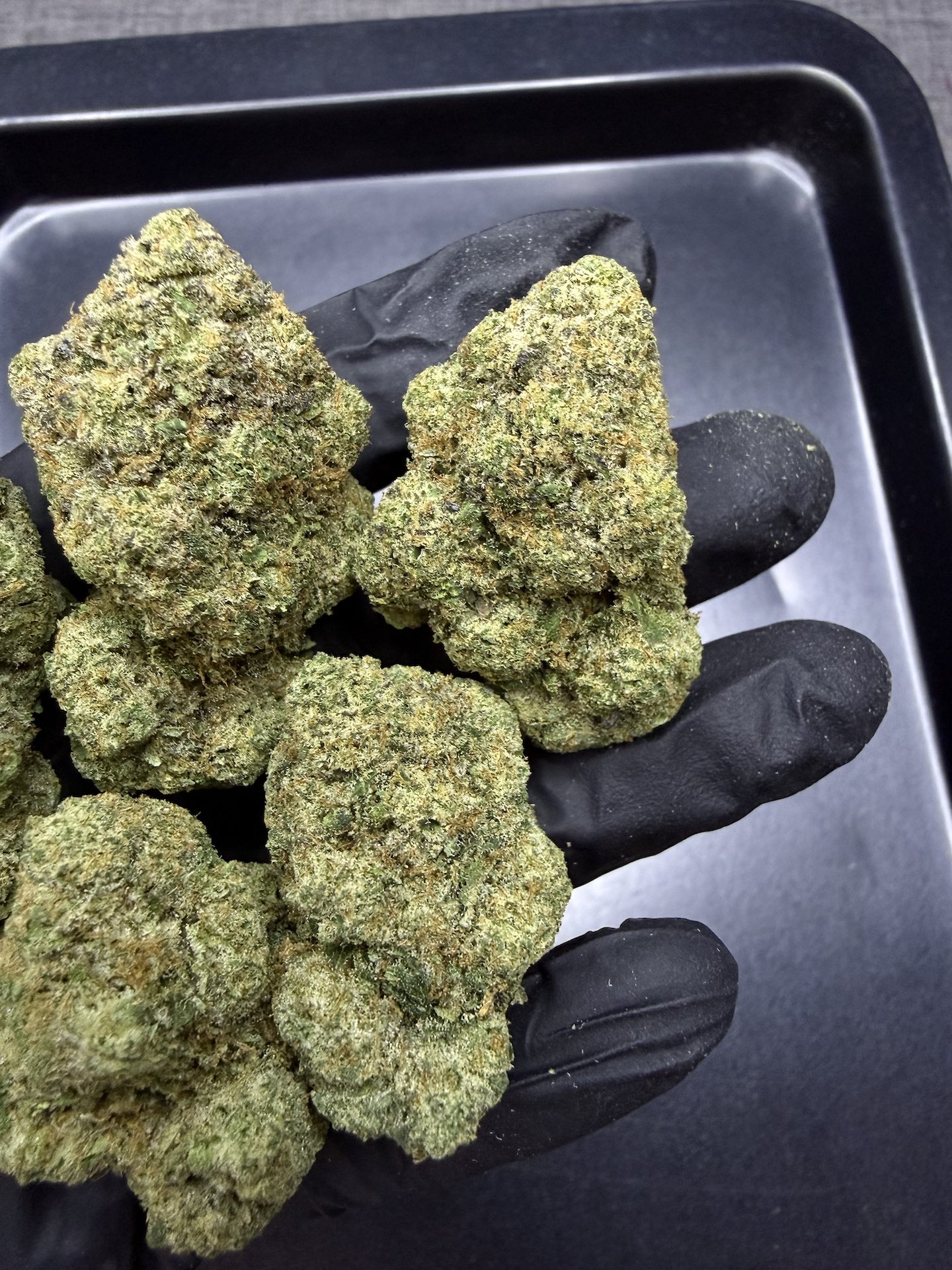 Apple Zoap by. Lit Farms THC 25-30% - Image 5