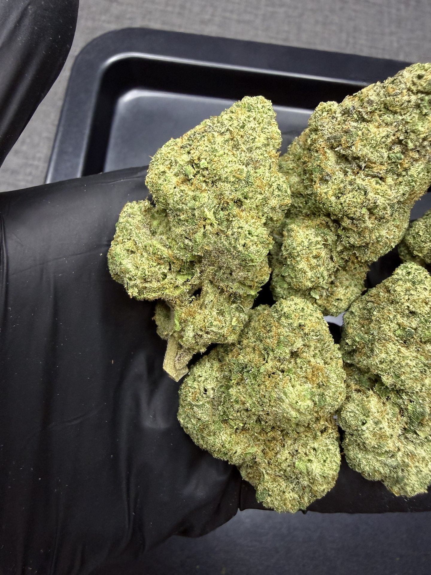 Apple Zoap by. Lit Farms THC 25-30% - Image 4