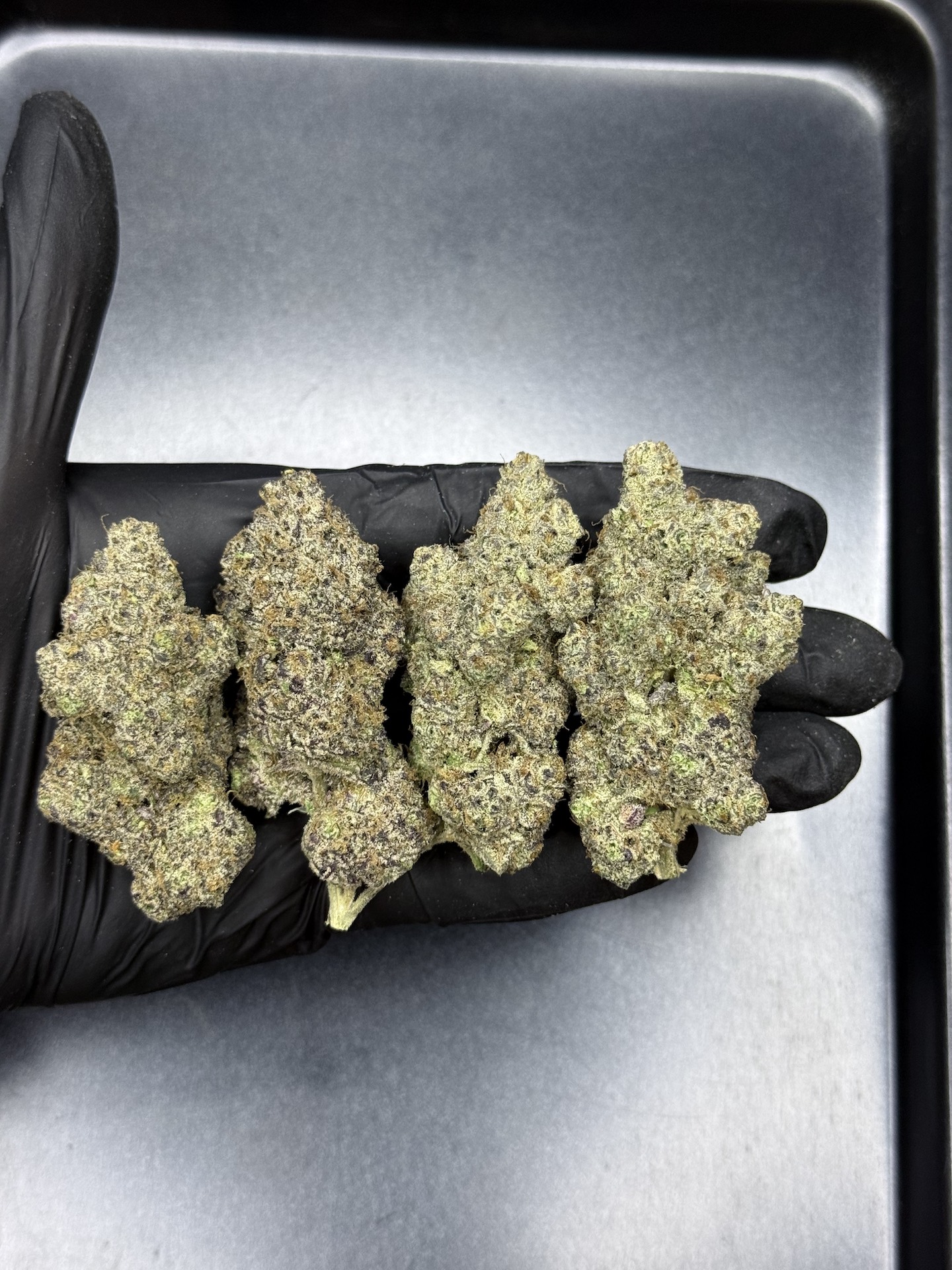 Tangie Purple Punch By. Blim Burnseeds THC 27-30% - Image 5