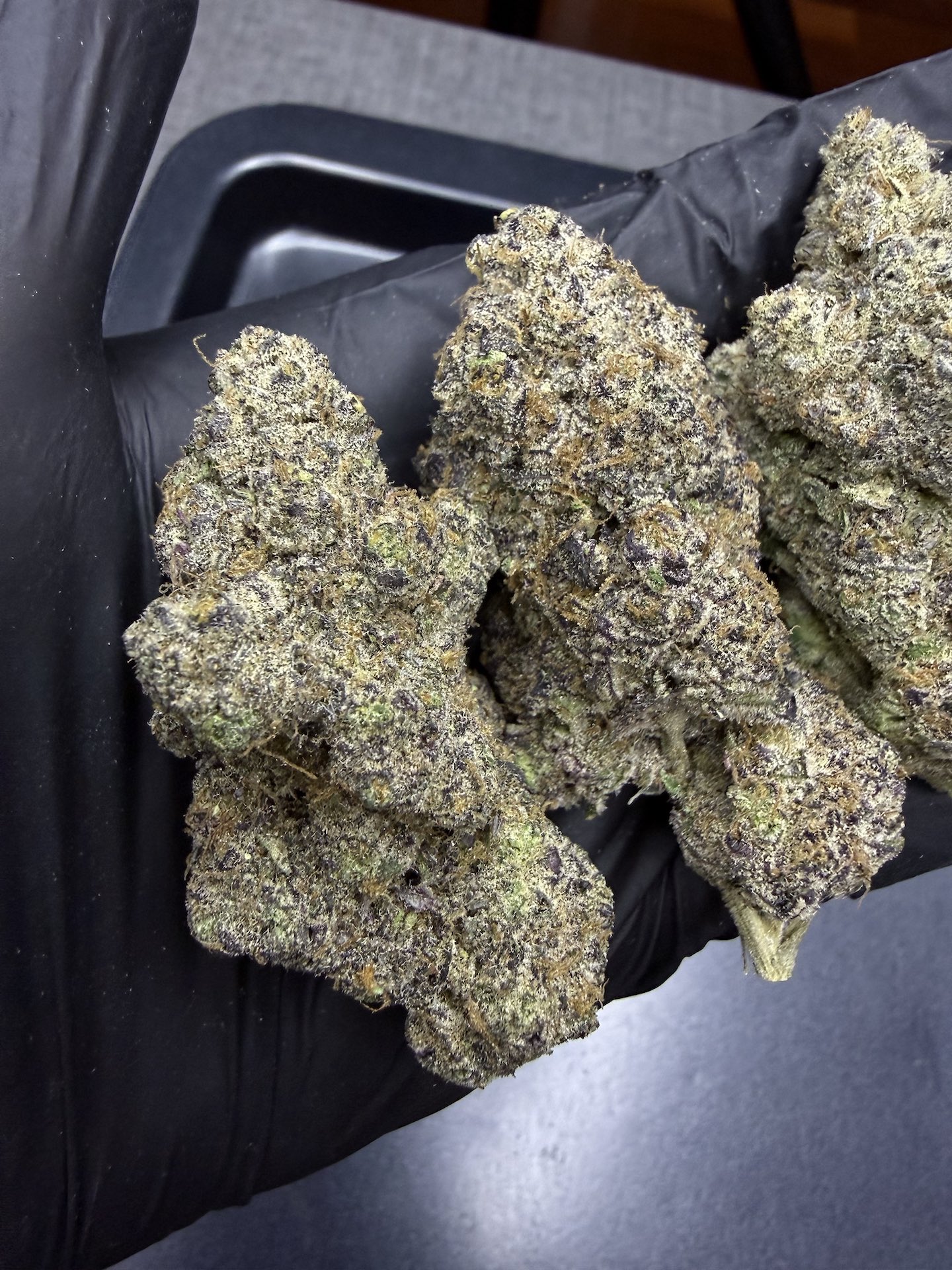 Tangie Purple Punch By. Blim Burnseeds THC 27-30% - Image 3