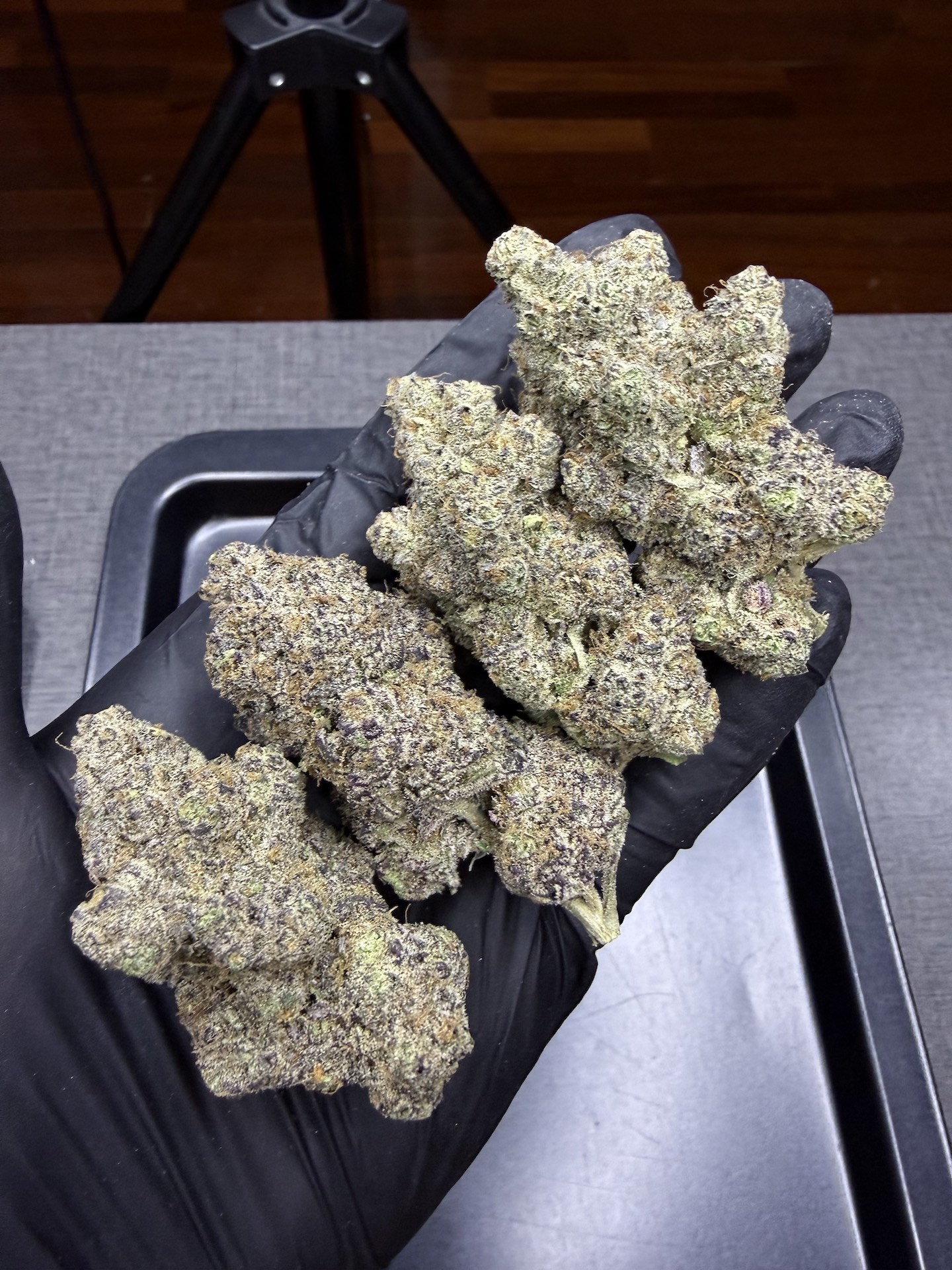 Tangie Purple Punch By. Blim Burnseeds THC 27-30% - Image 2