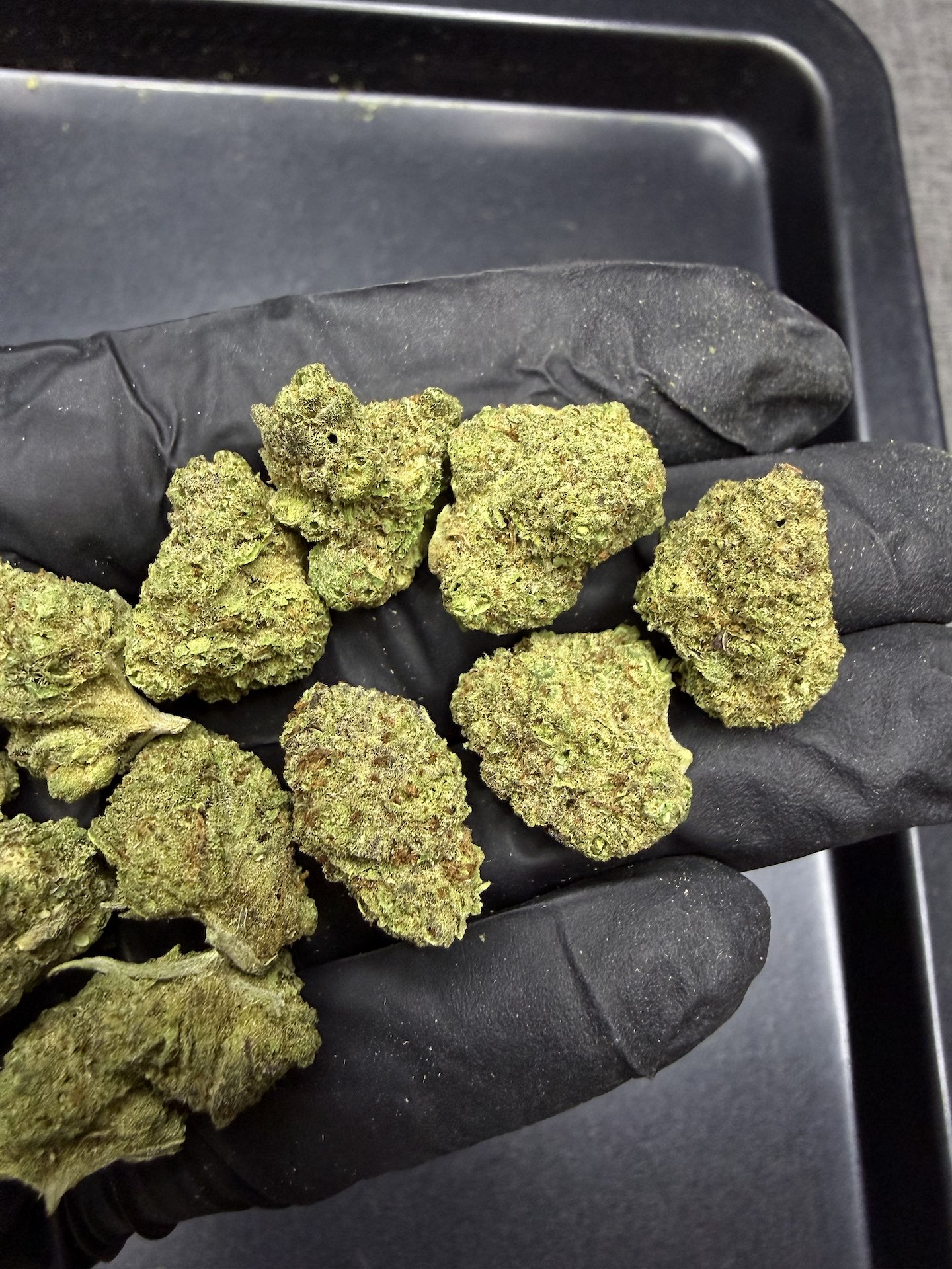 King's Juice THC 25% ðļ - Image 4