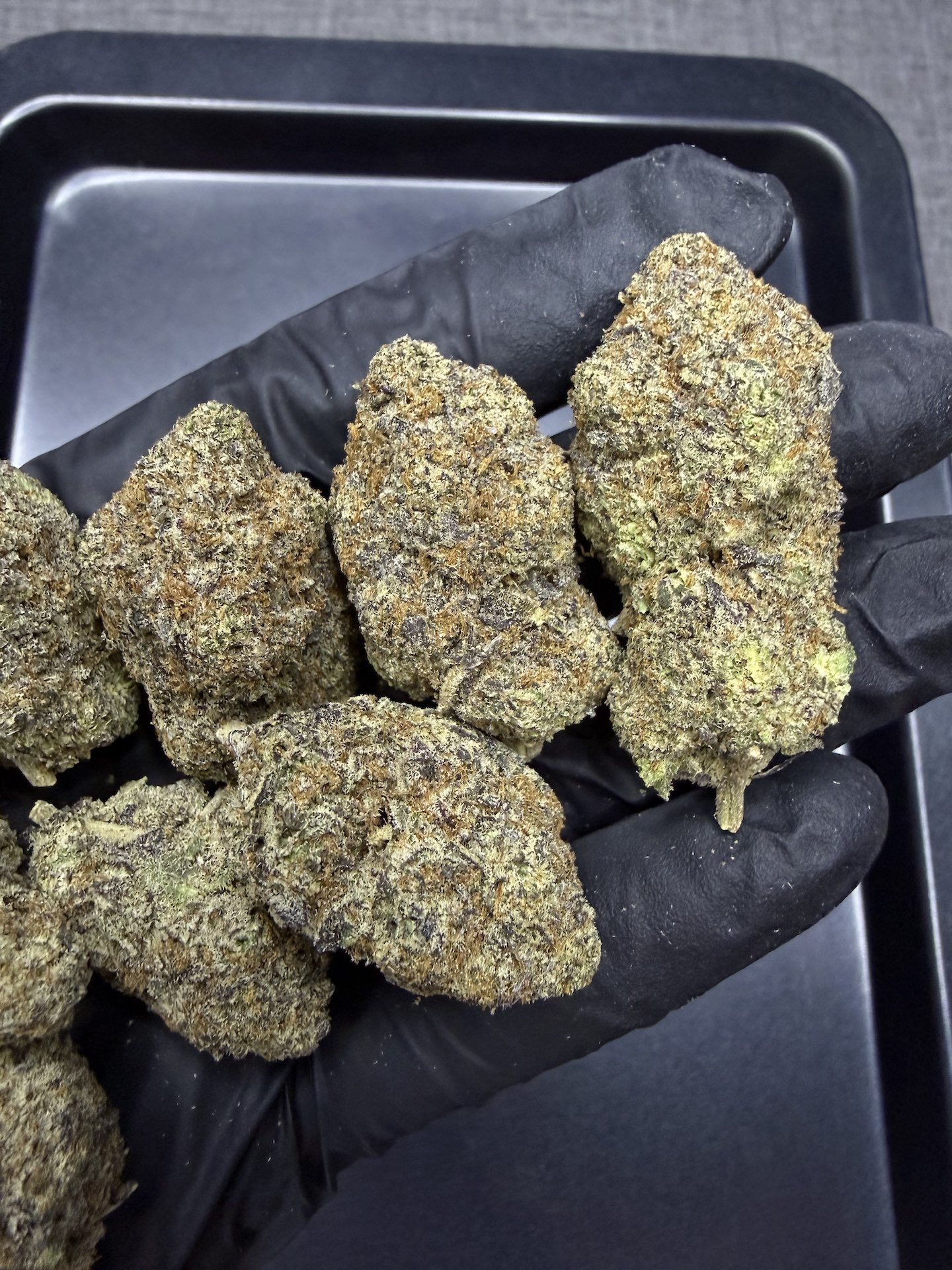 Sugar Baby S1 By. Copycat Genetix THC 30%+ - Image 3