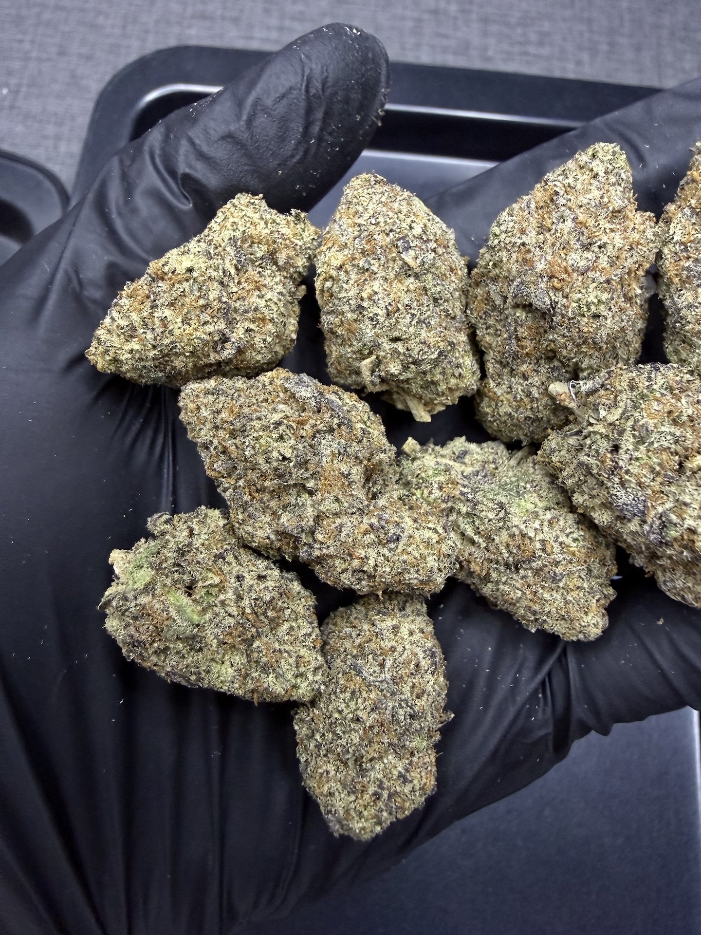 Sugar Baby S1 By. Copycat Genetix THC 30%+ - Image 4