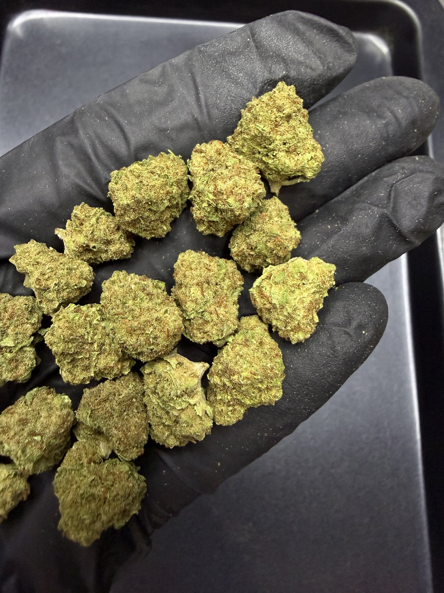 S Class THC 25% ðļ - Image 3