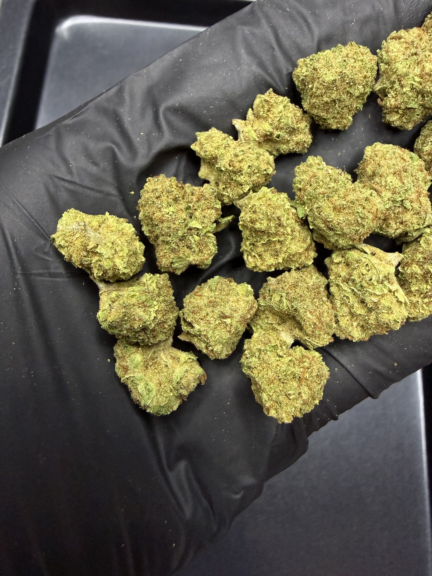 S Class THC 25% ðļ - Image 4