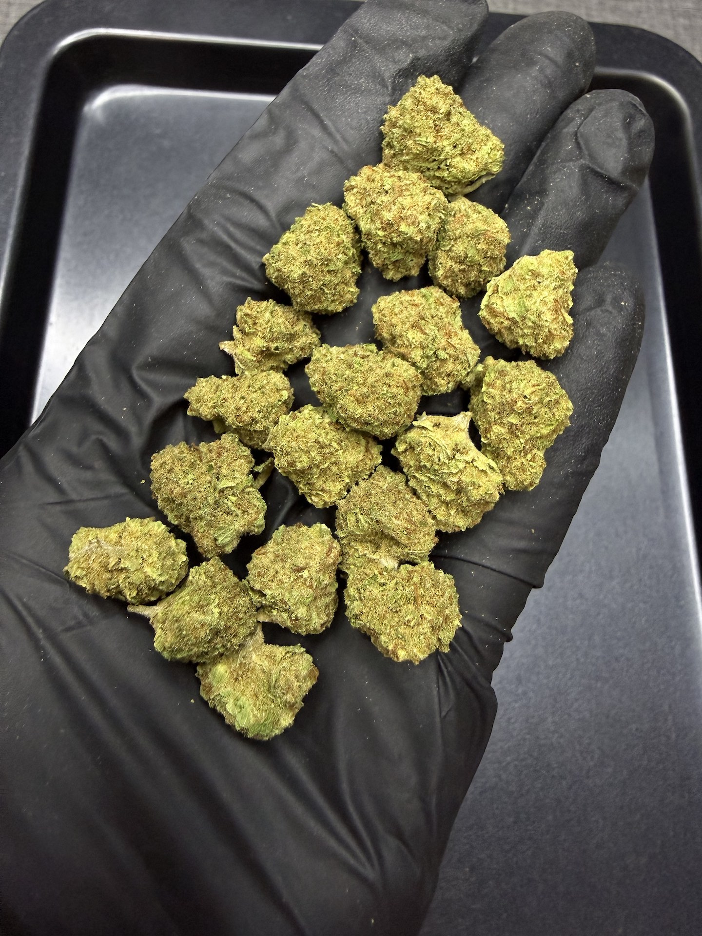 S Class THC 25% ðļ - Image 5