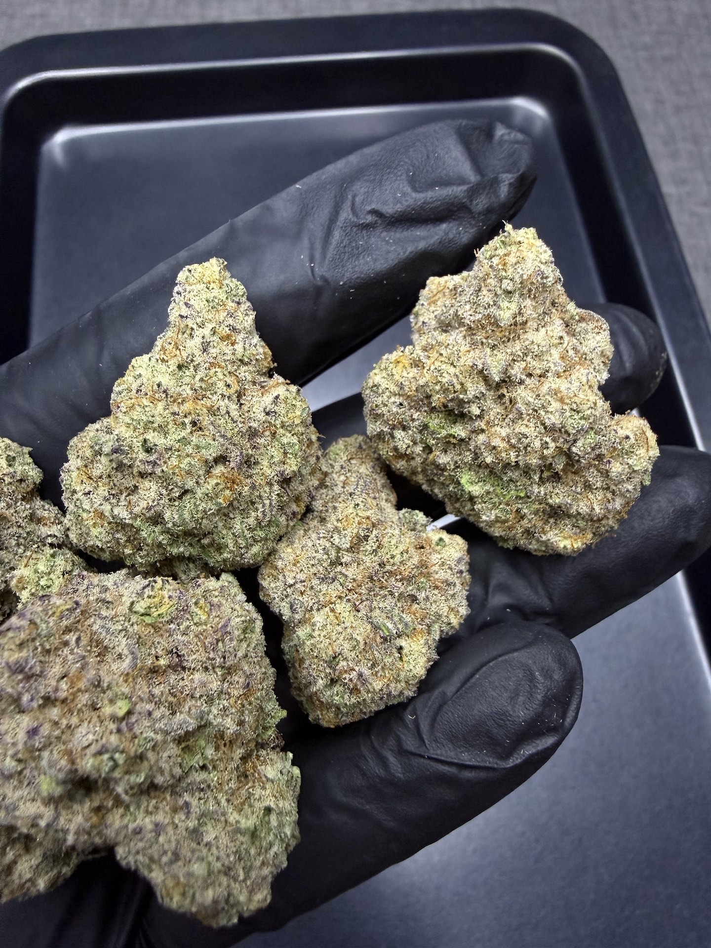 White Inferno By. BeLeaf Seeds THC 25-30% - Image 3