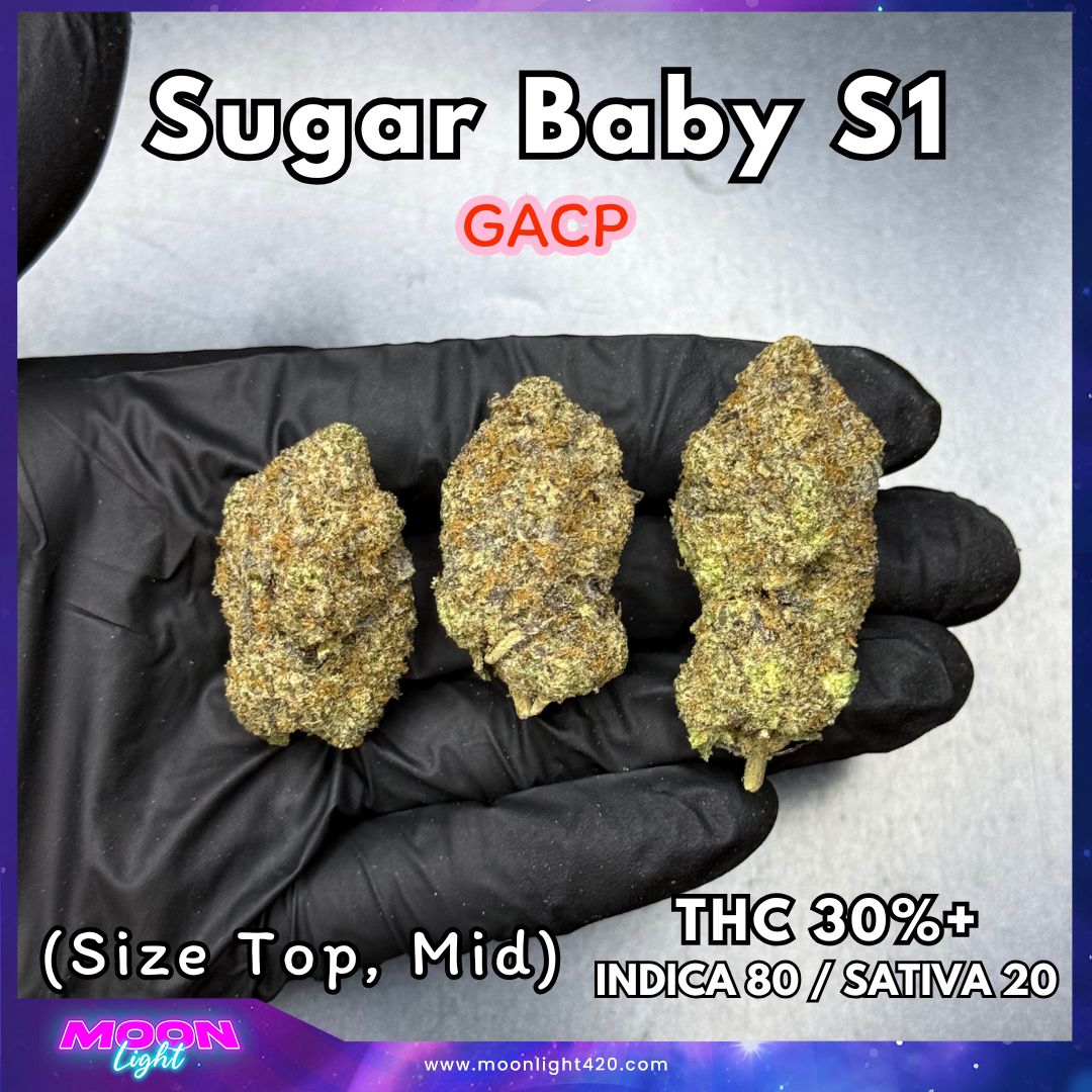 Sugar Baby S1 By. Copycat Genetix THC 30%+