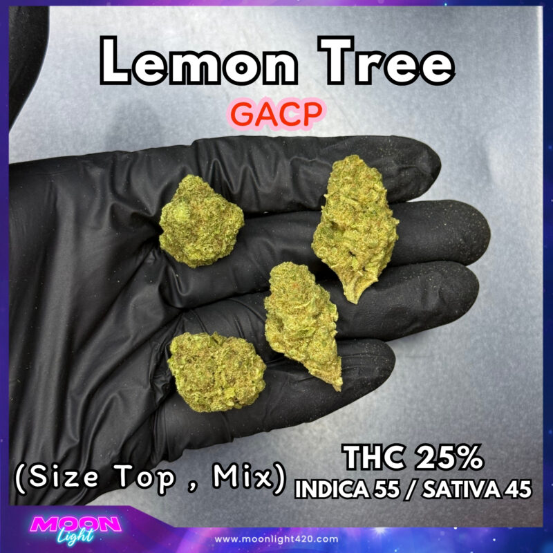 Lemon Tree  THC 25% 🛸