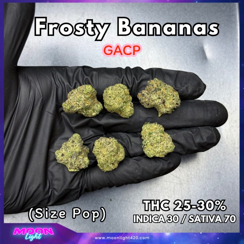 Frosty Bananas By. Elev8 Seeds THC 25-30%