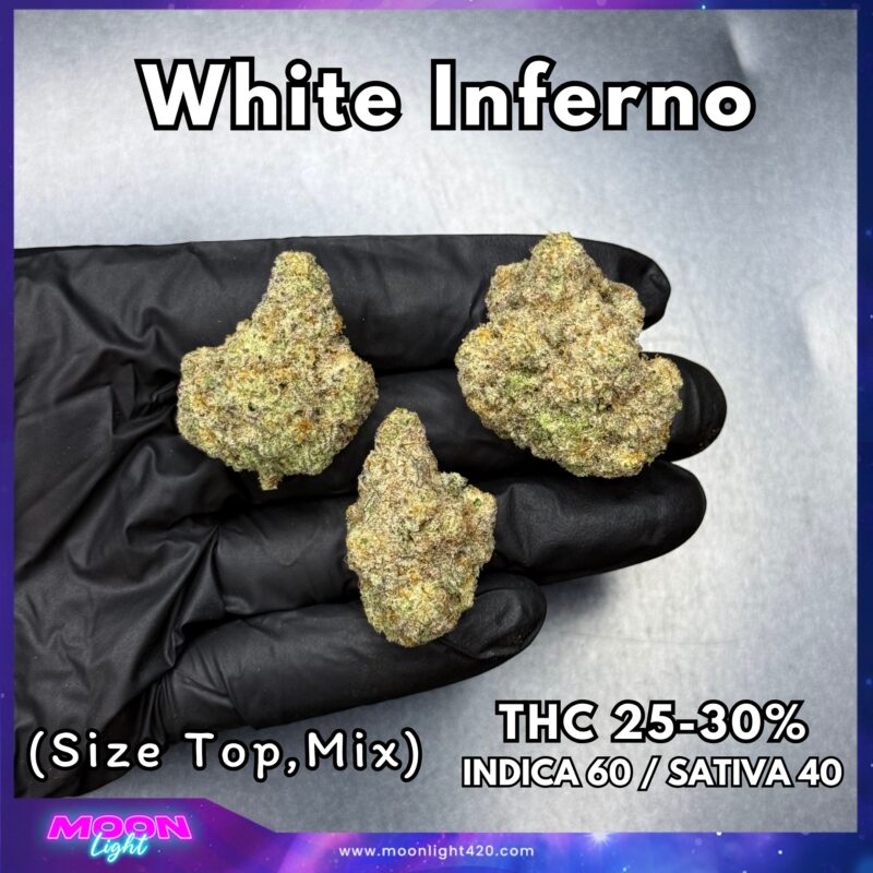 White Inferno By. BeLeaf Seeds THC 25-30%