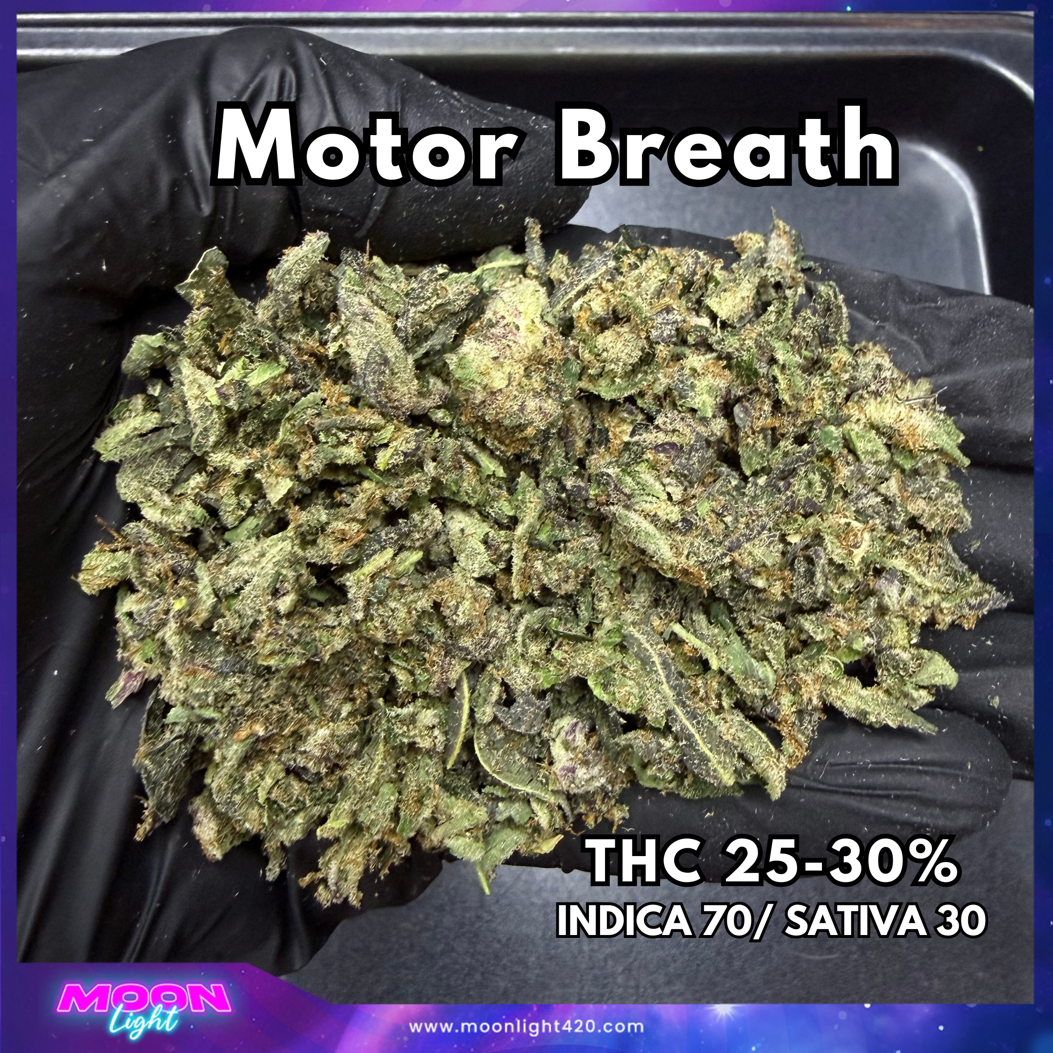ทริม+ดอกแตก Motor Breath By. Blimburn Seeds THC 25-30%