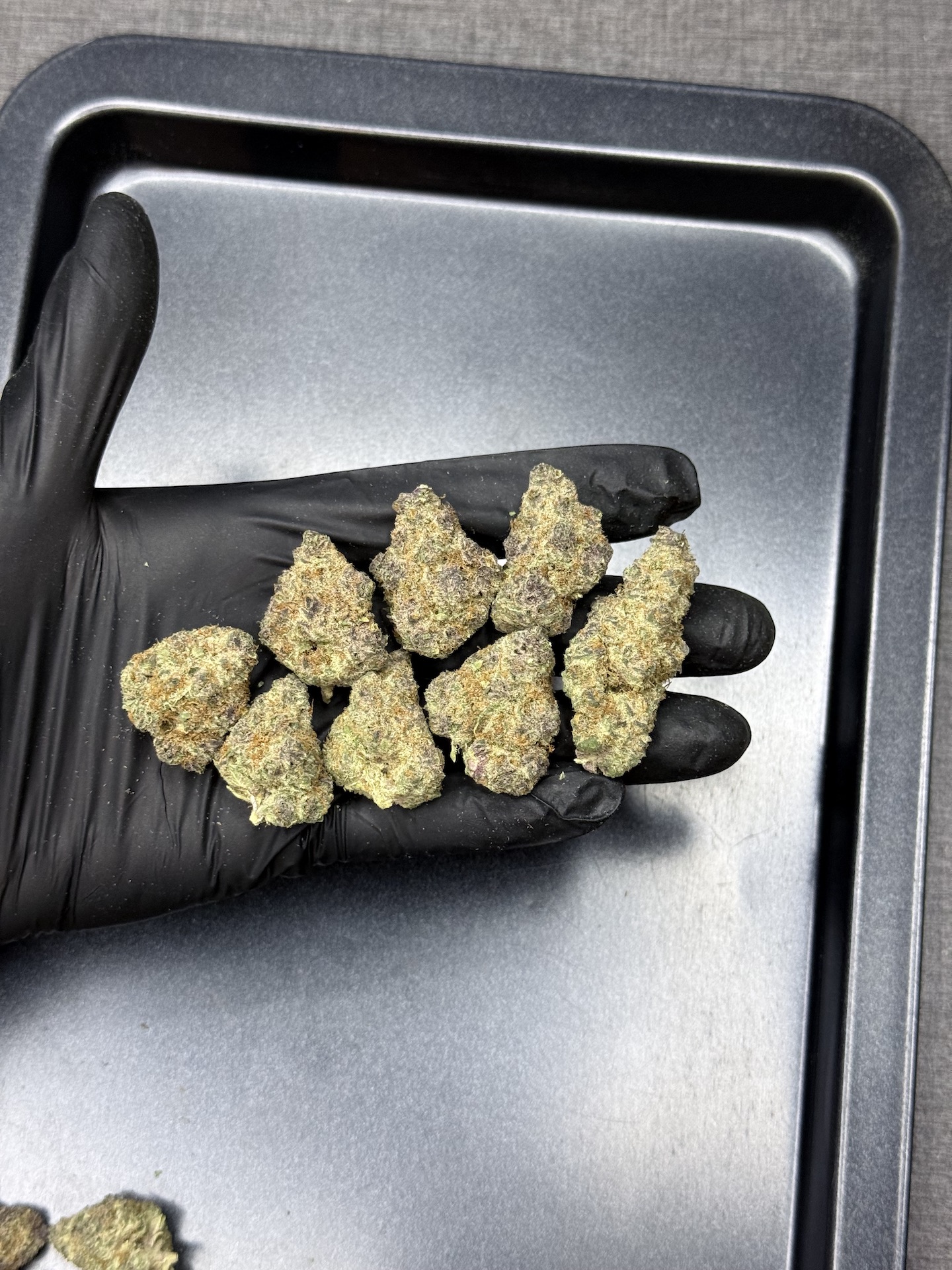 Cherry Milk By. Elev8 Seeds THC 25-30% - Image 2