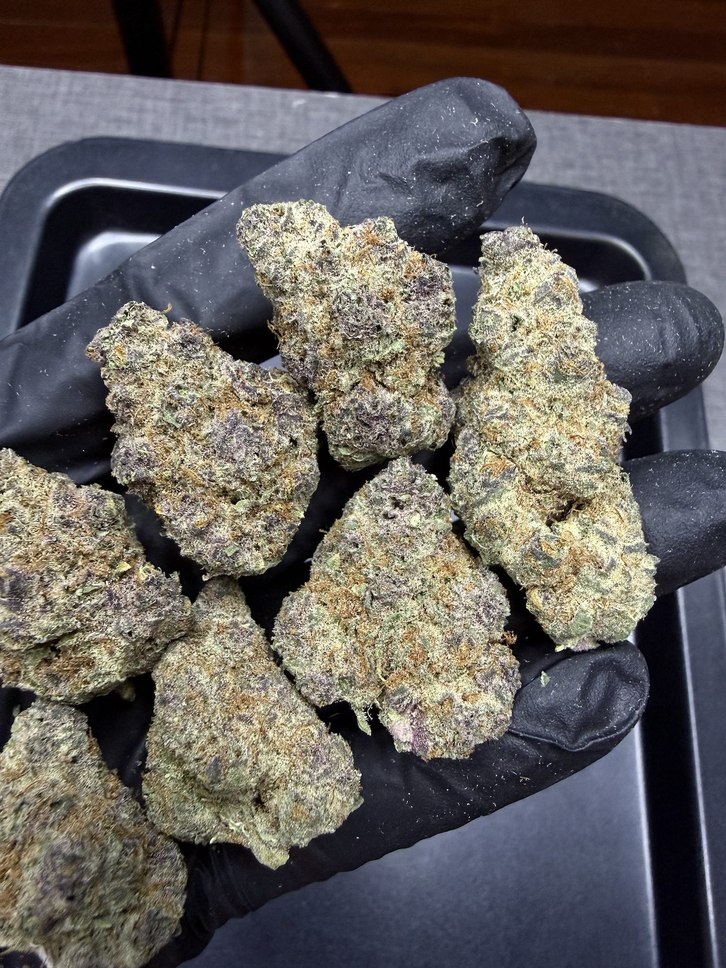 Cherry Milk By. Elev8 Seeds THC 25-30% - Image 5