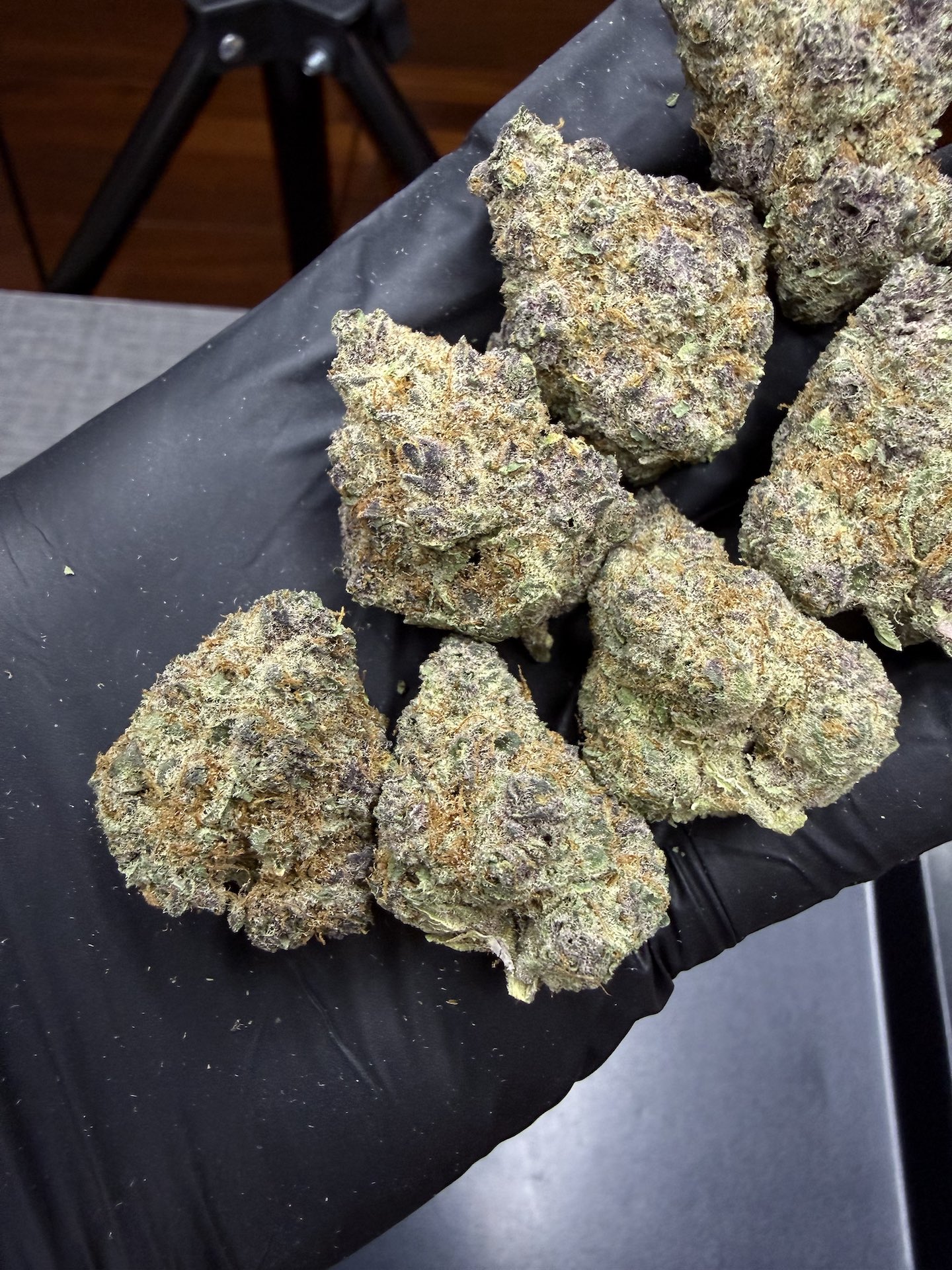 Cherry Milk By. Elev8 Seeds THC 25-30% - Image 4