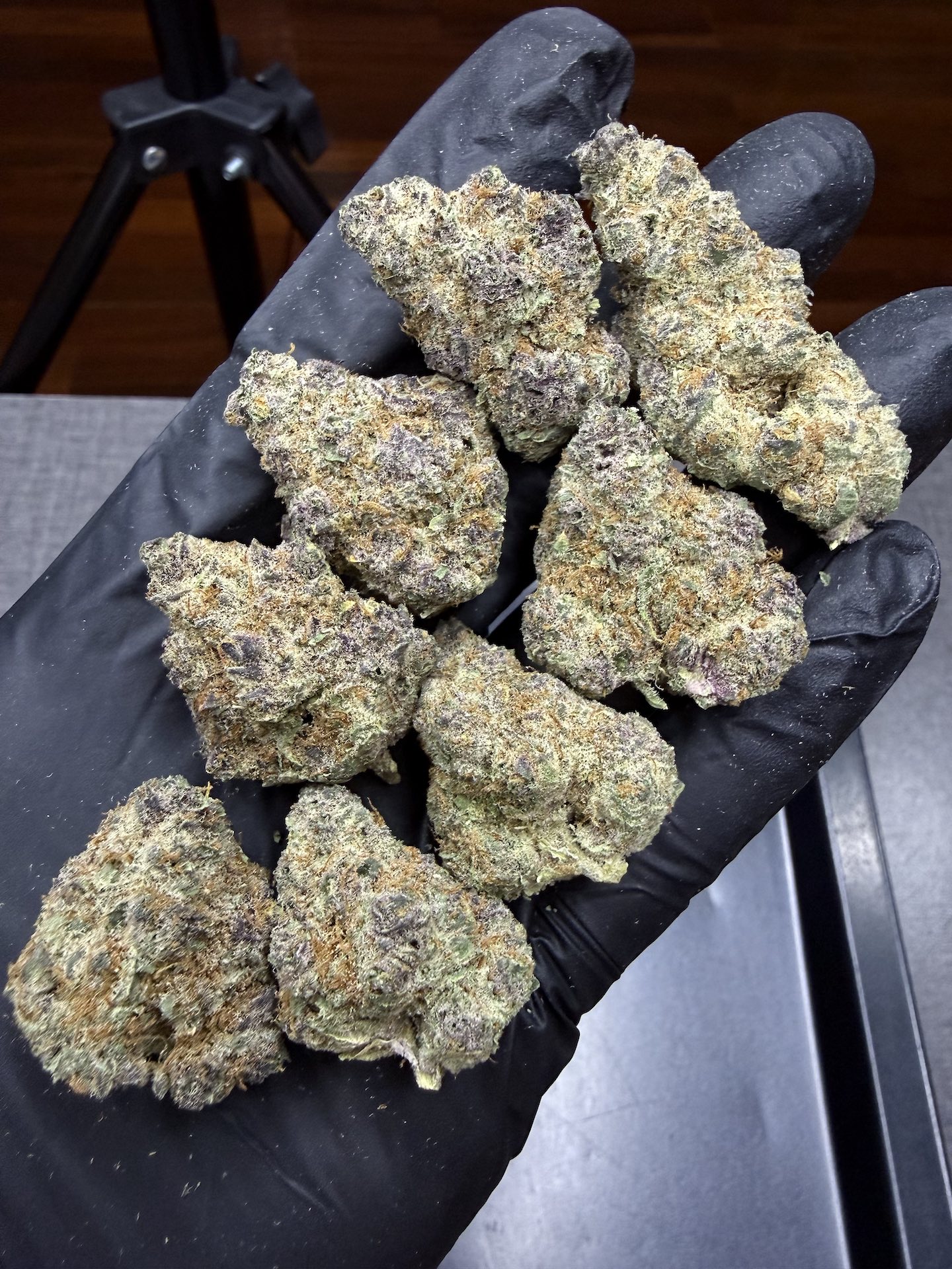 Cherry Milk By. Elev8 Seeds THC 25-30% - Image 3