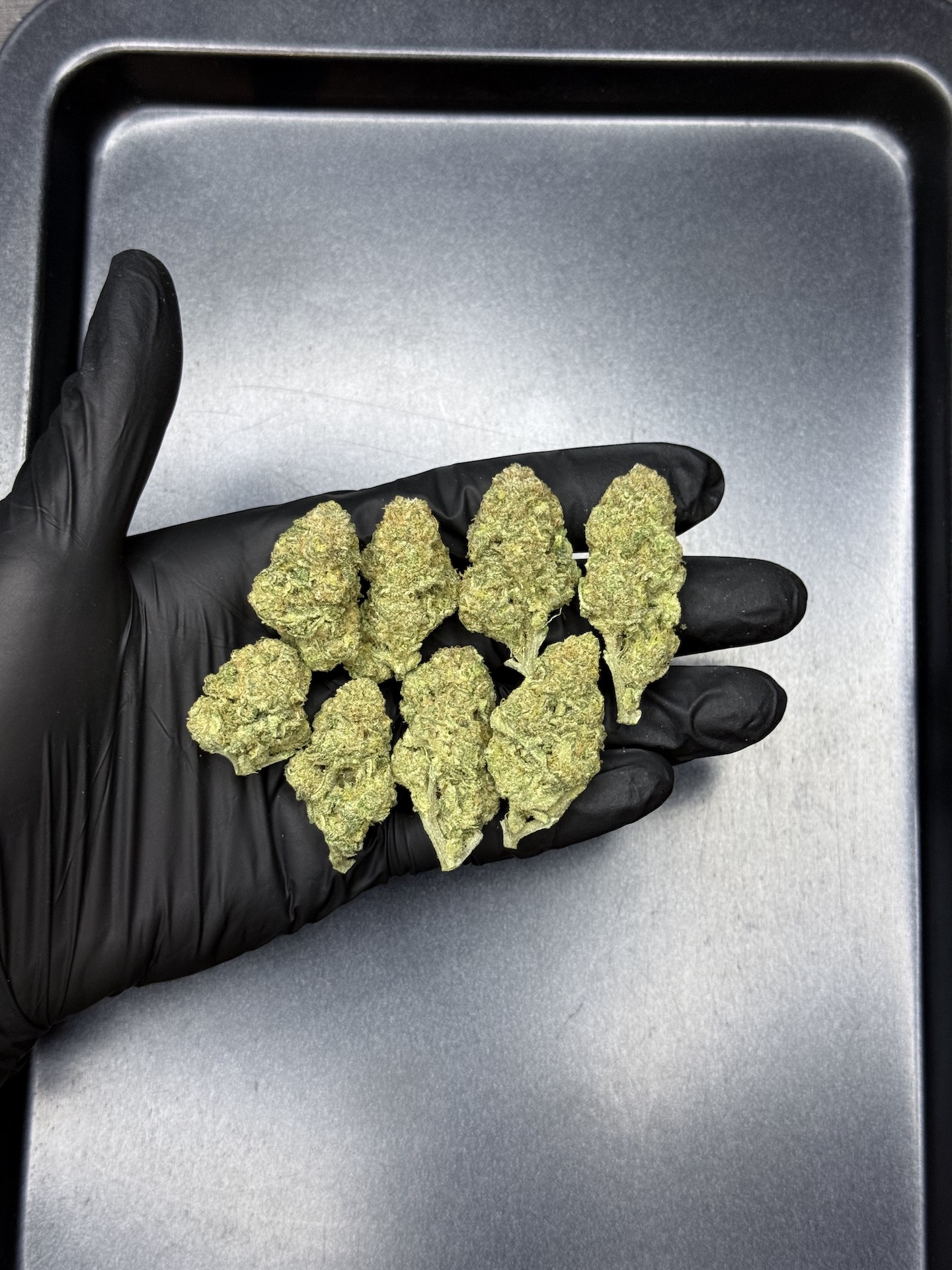 Santa Marta By. Seed Stockers THC 25-30% - Image 2