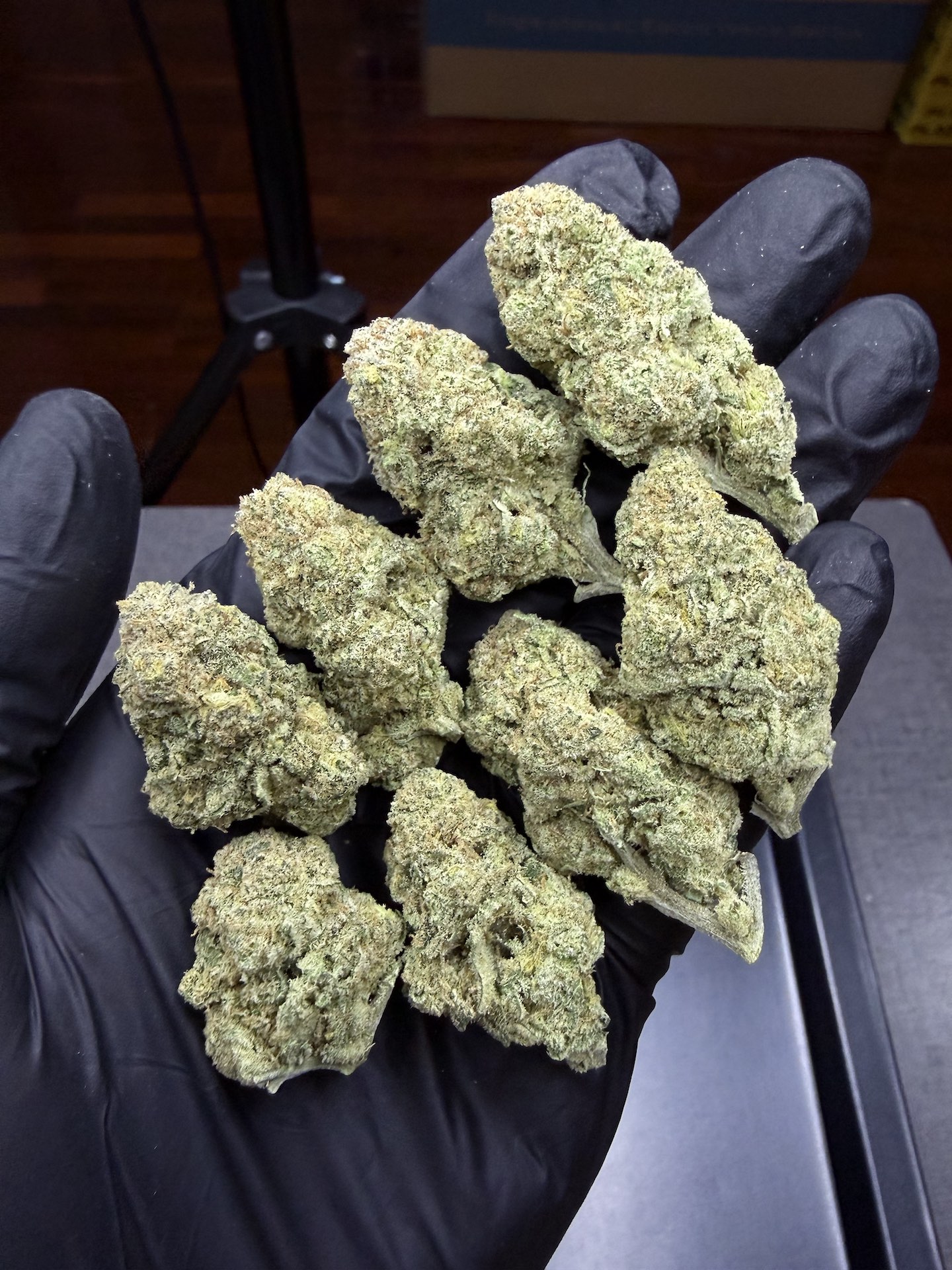 Santa Marta By. Seed Stockers THC 25-30% - Image 5