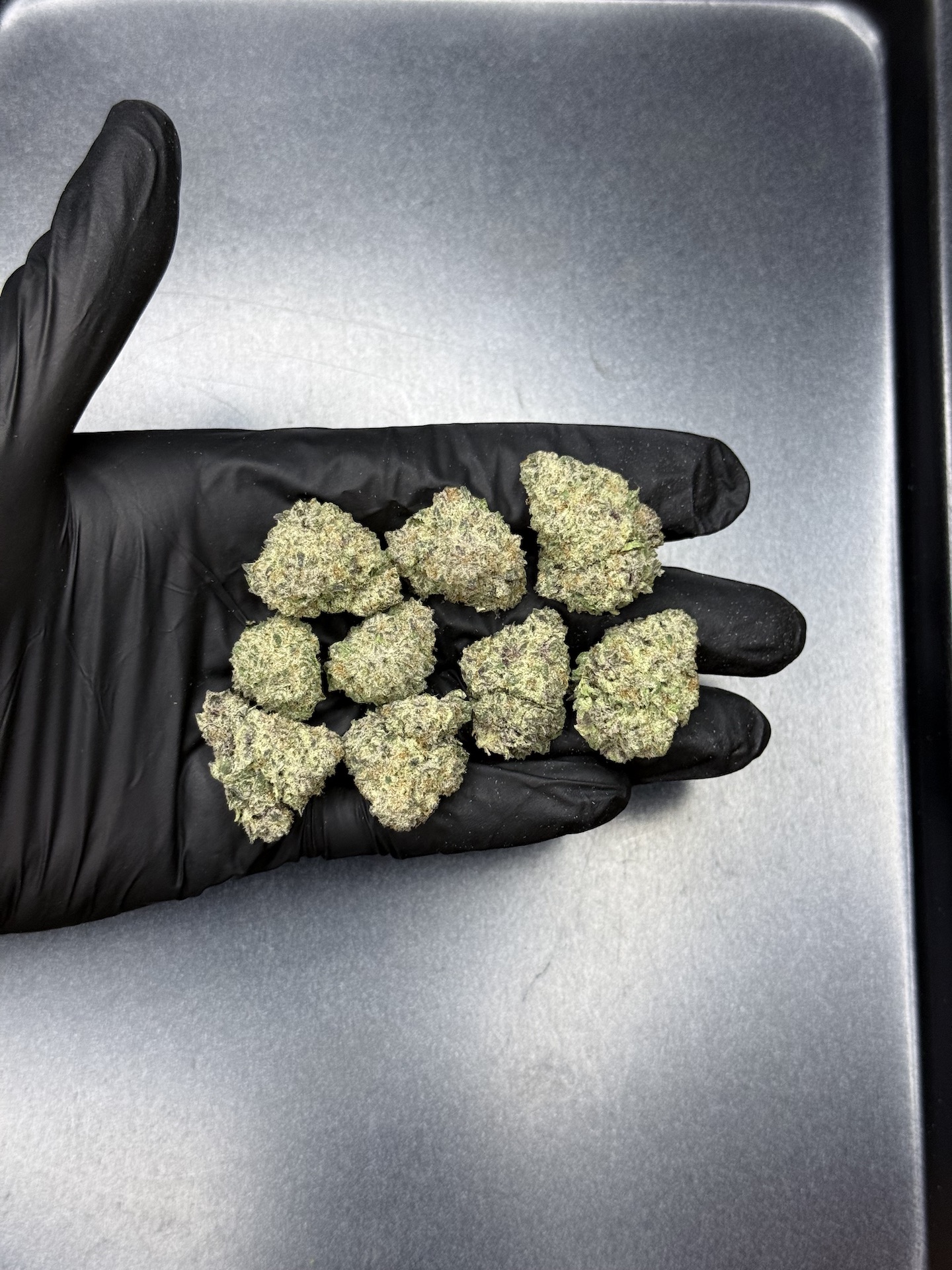 Ghost Train Haze By. Blimburn Seeds THC 25-30% - Image 2