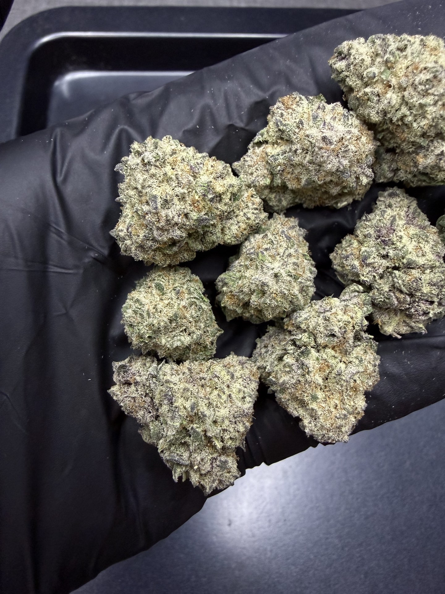 Ghost Train Haze By. Blimburn Seeds THC 25-30% - Image 4