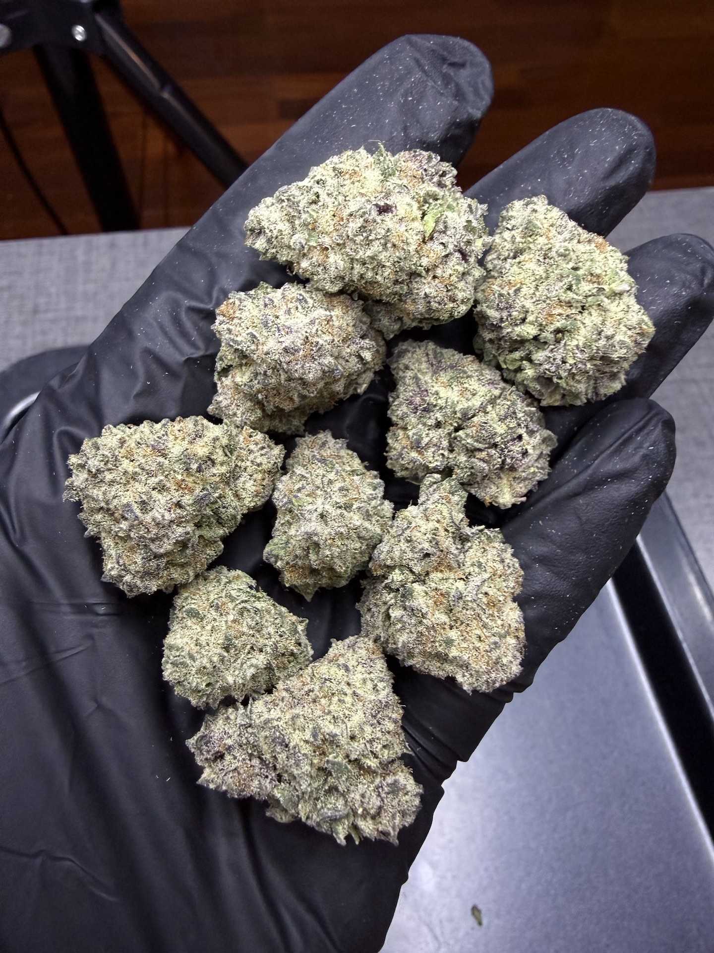 Ghost Train Haze By. Blimburn Seeds THC 25-30% - Image 3