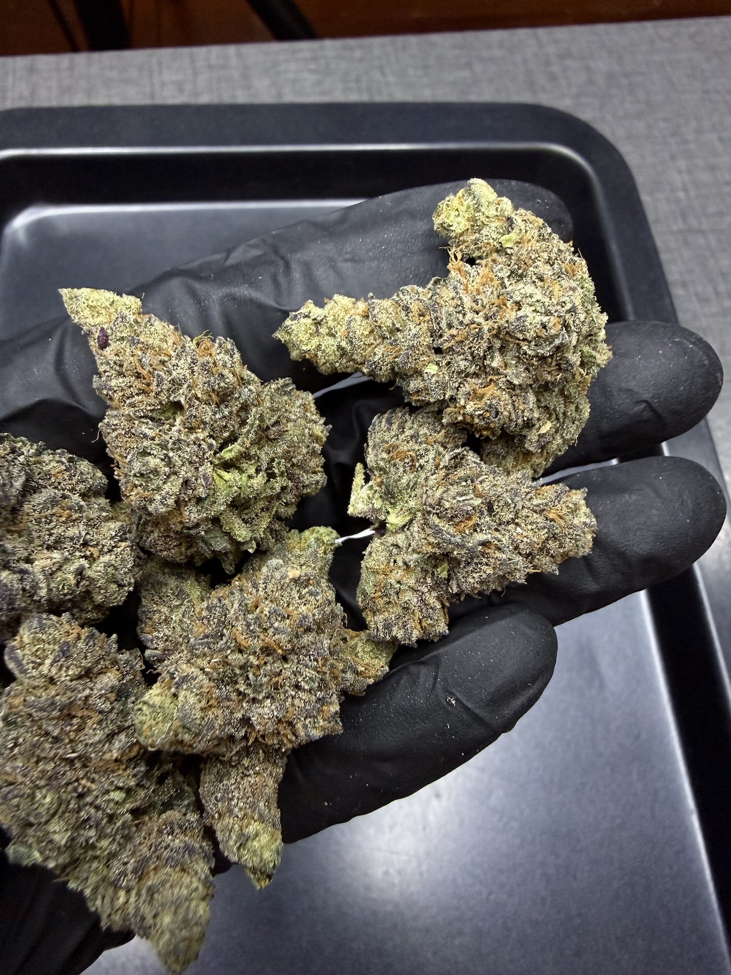 Greasy Runtz By. Exotic Genetix THC 25-30% - Image 5