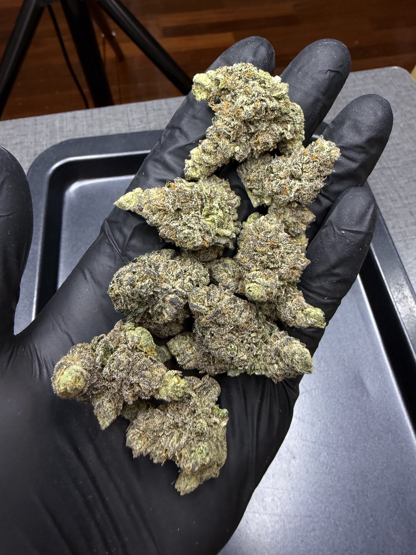 Greasy Runtz By. Exotic Genetix THC 25-30% - Image 3