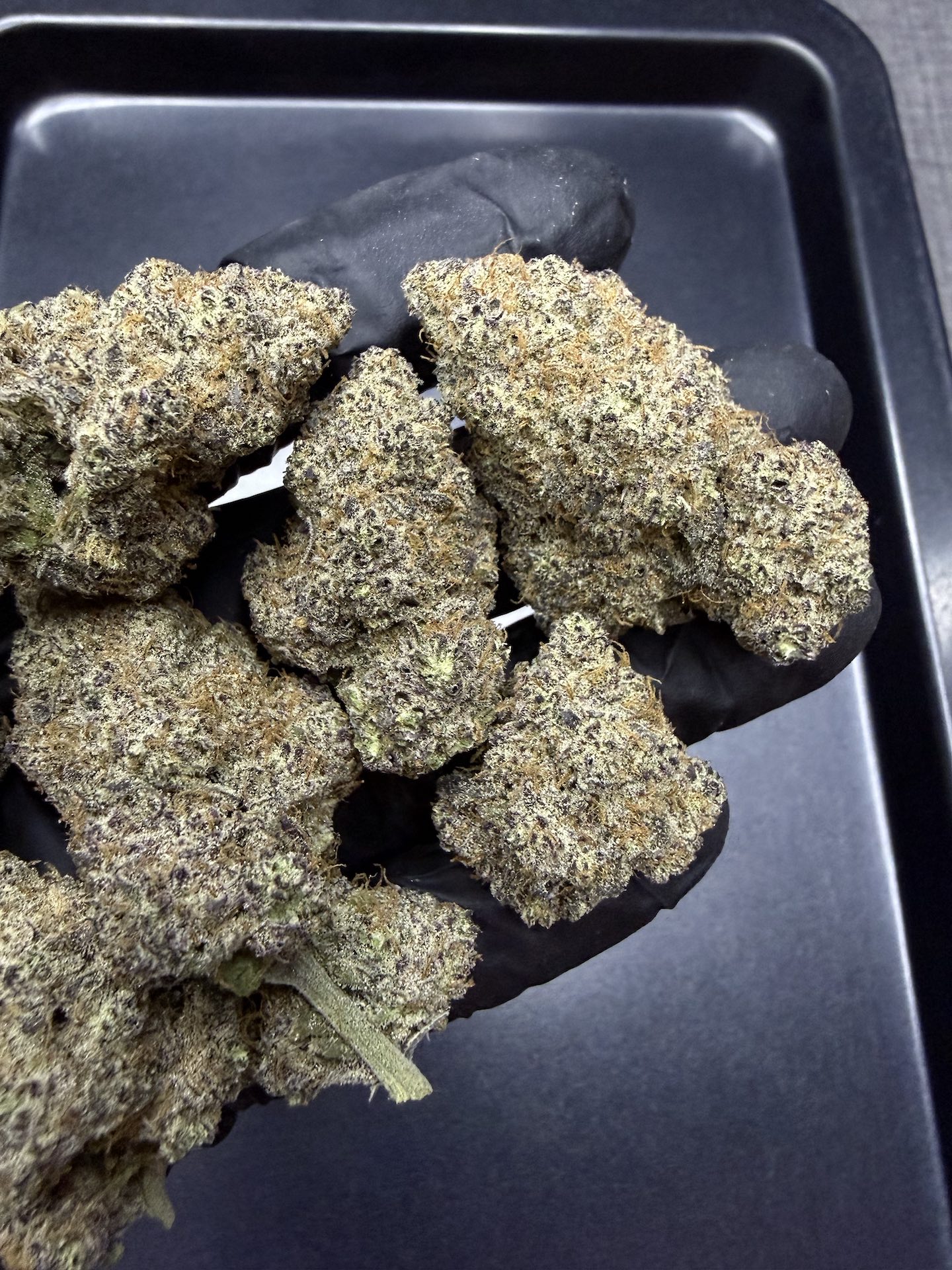 Magic Marker By. Seed Junky THC 25-30% - Image 5