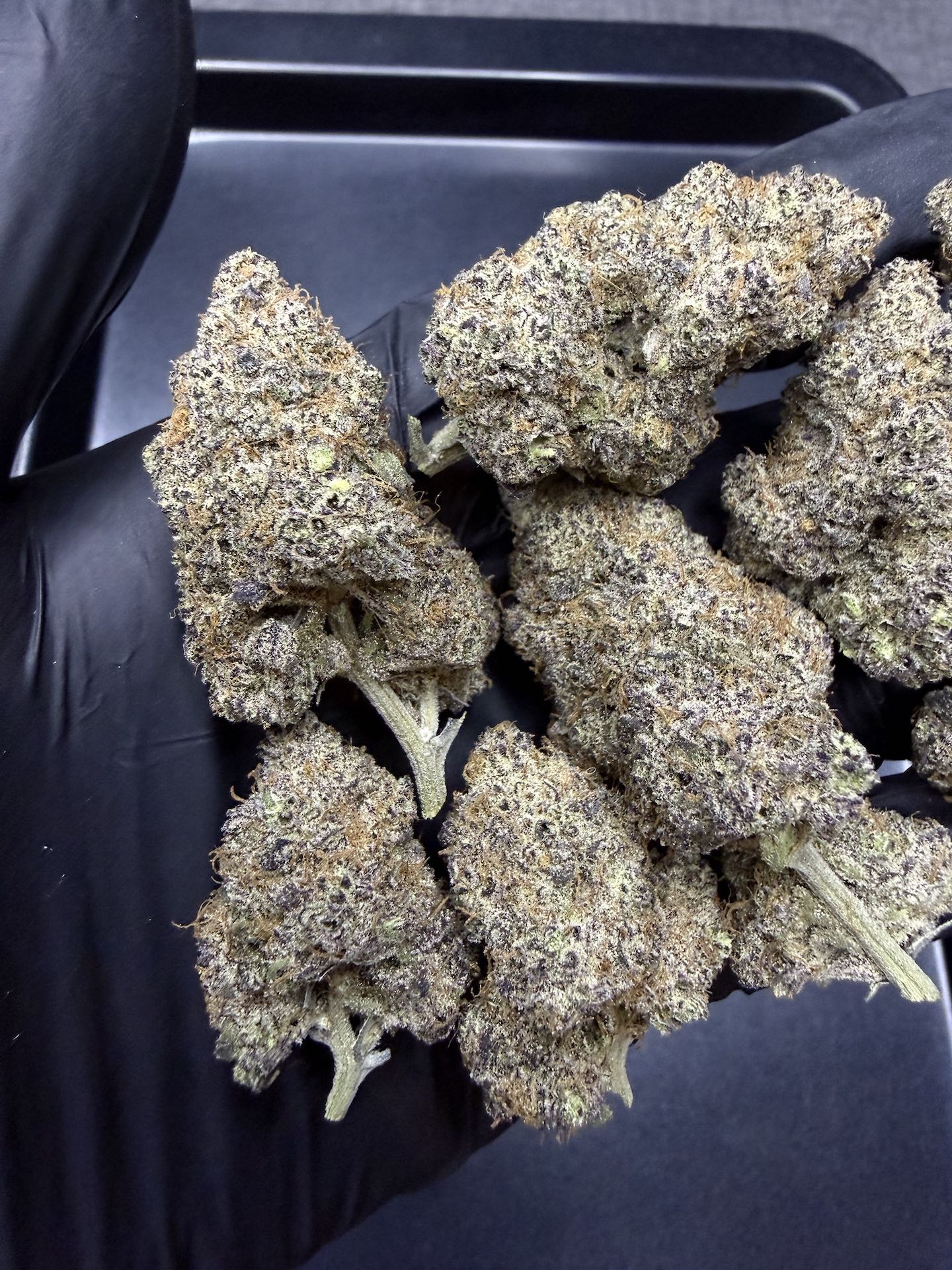 Magic Marker By. Seed Junky THC 25-30% - Image 4