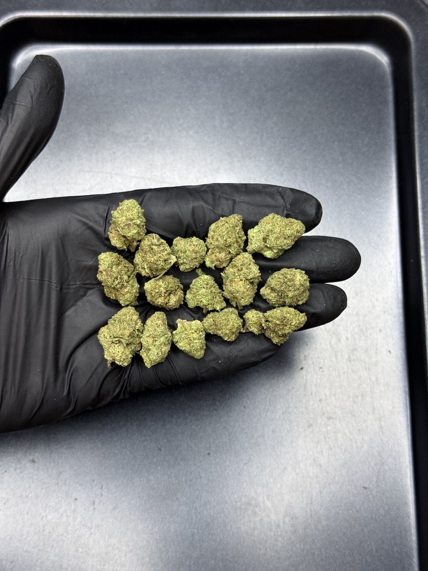 Fanta Sea RBX THC 25%+ ðļ - Image 2