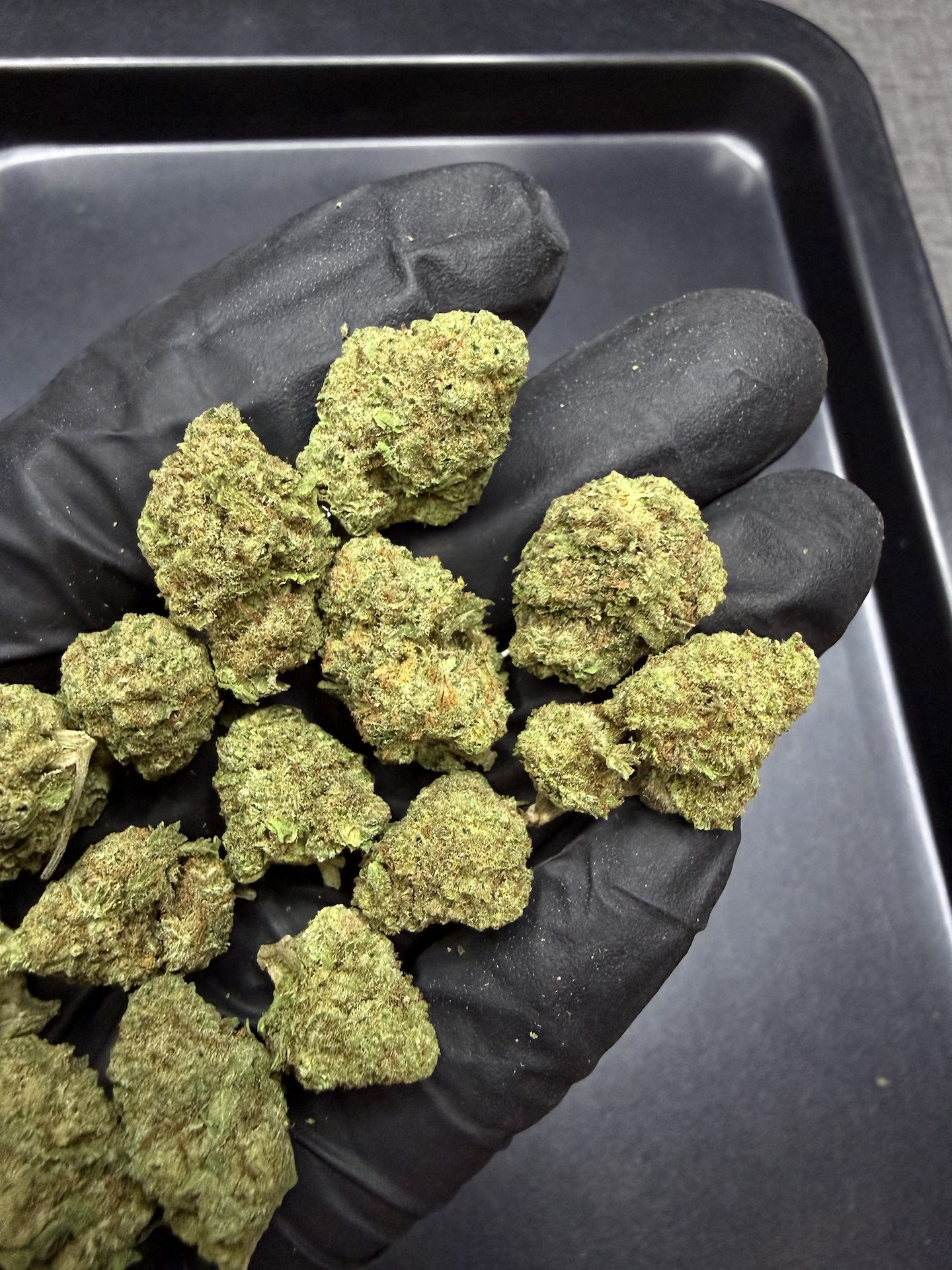 Fanta Sea RBX THC 25%+ ðļ - Image 5