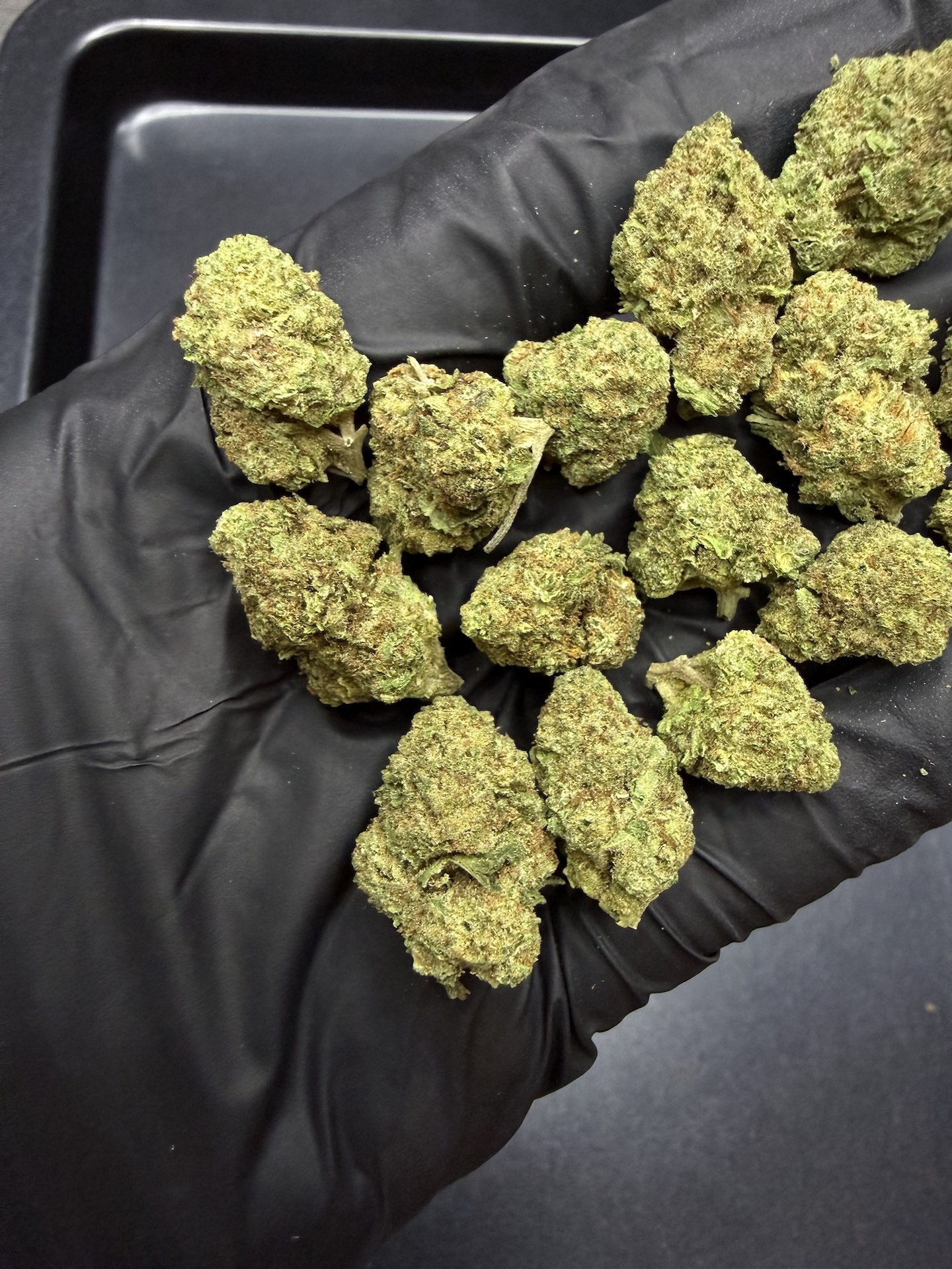 Fanta Sea RBX THC 25%+ ðļ - Image 4