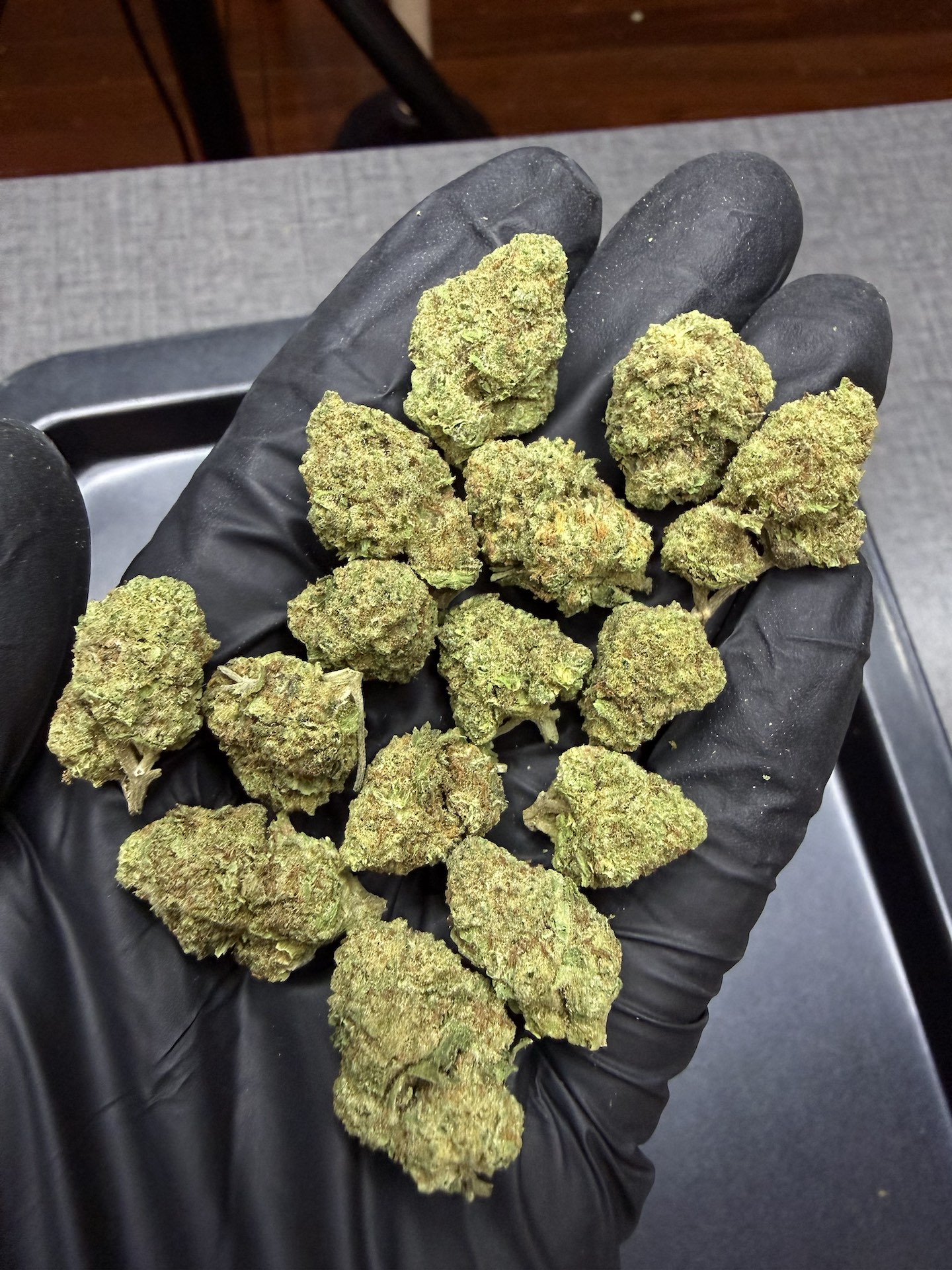 Fanta Sea RBX THC 25%+ ðļ - Image 3