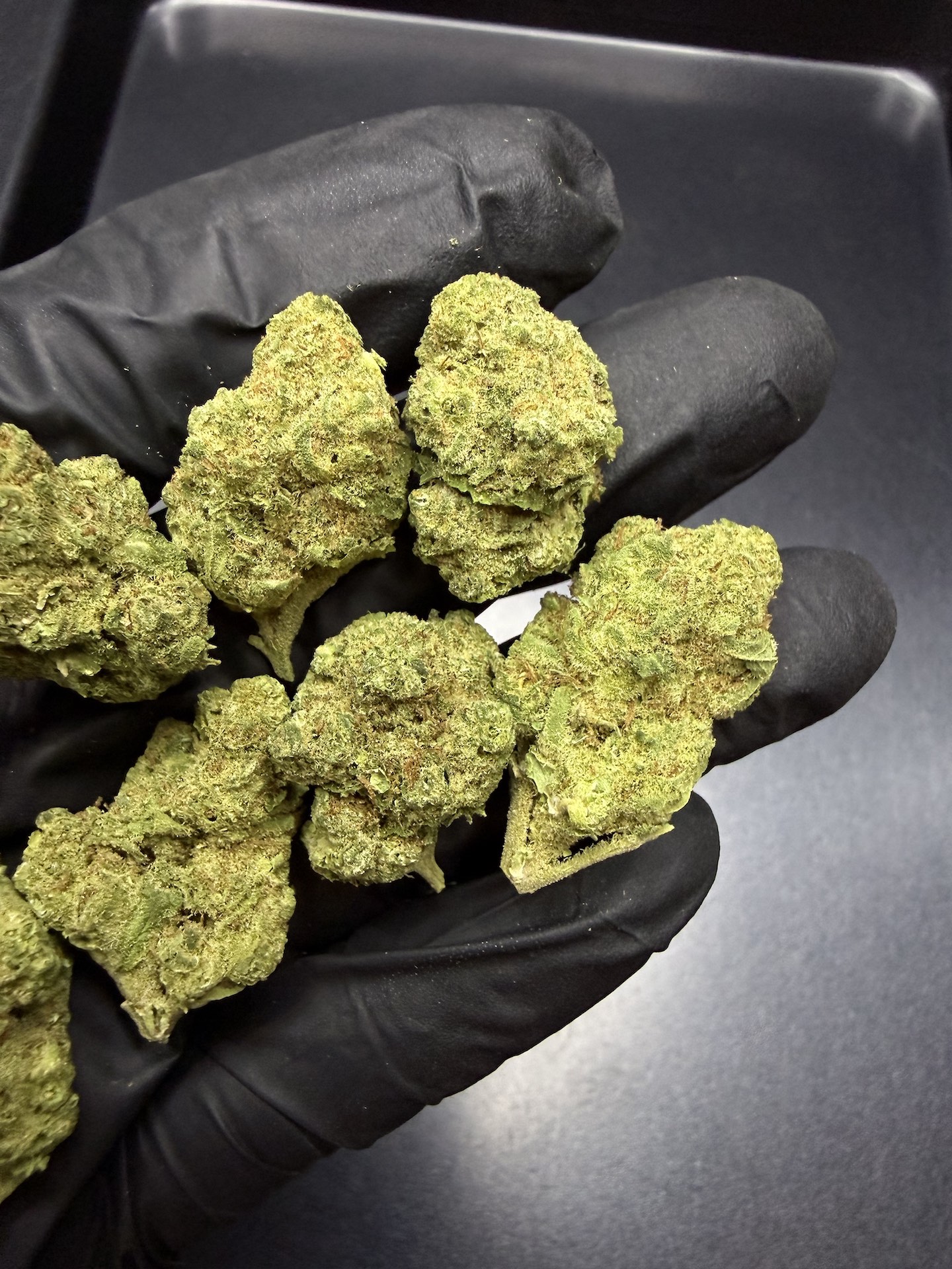 Rucu Cucu OG THC 25%+ ðļ - Image 5