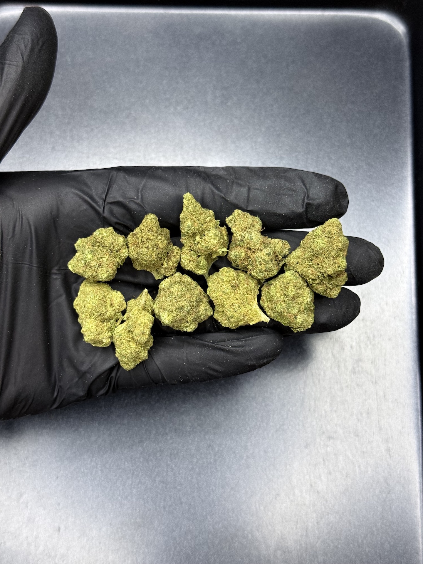 Blackberry Kush THC 25%+ - Image 2