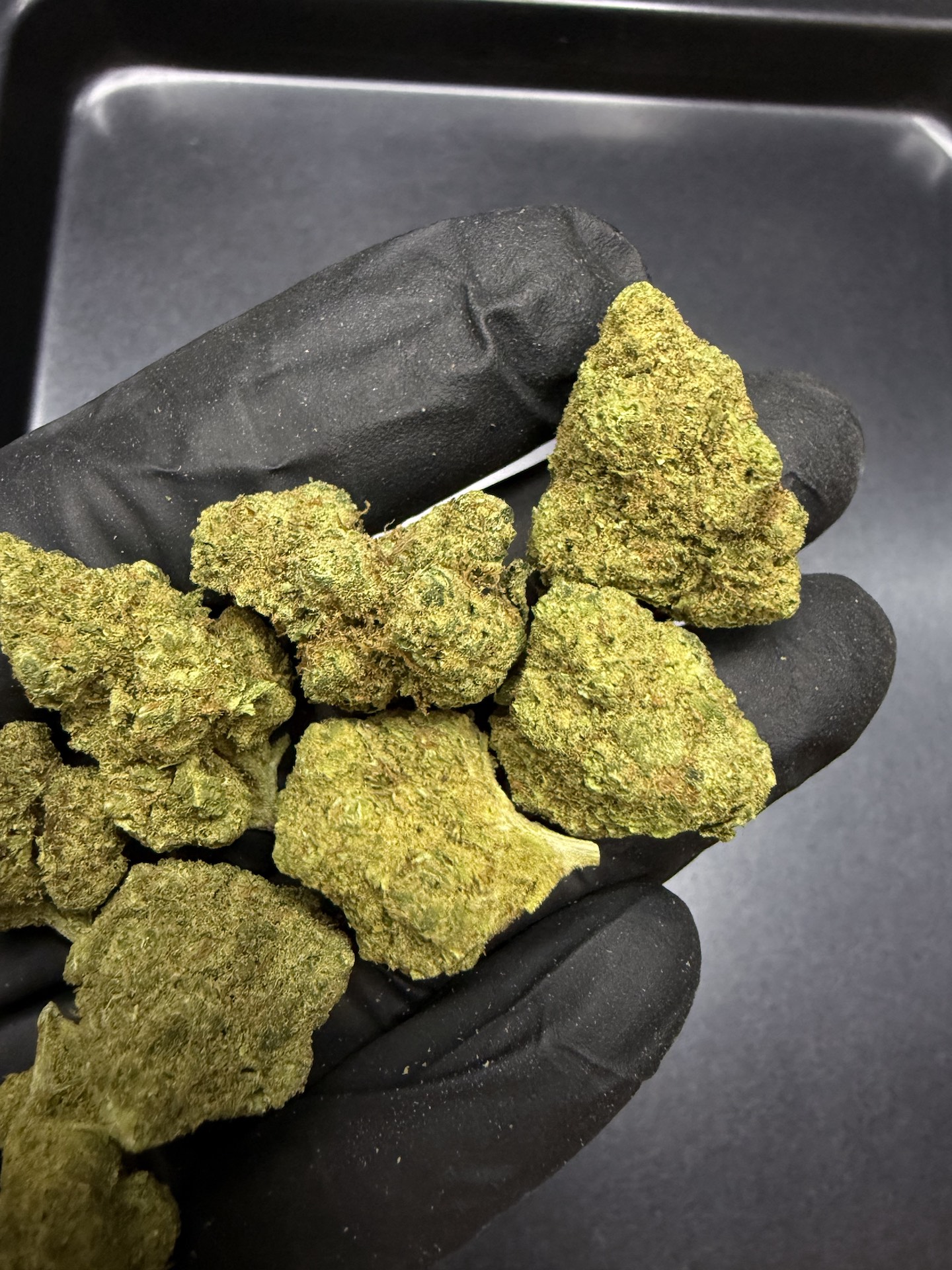 Blackberry Kush THC 25%+ - Image 5