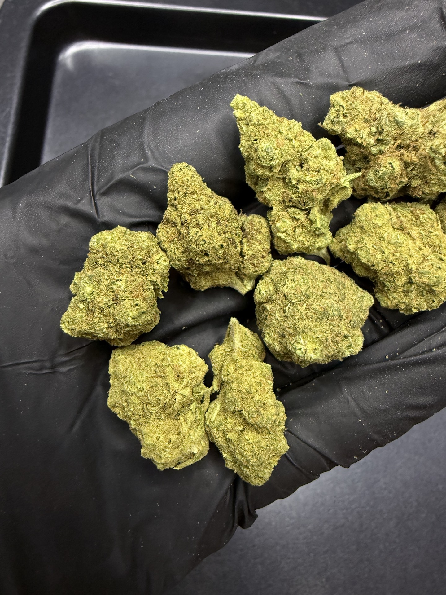 Blackberry Kush THC 25%+ - Image 4