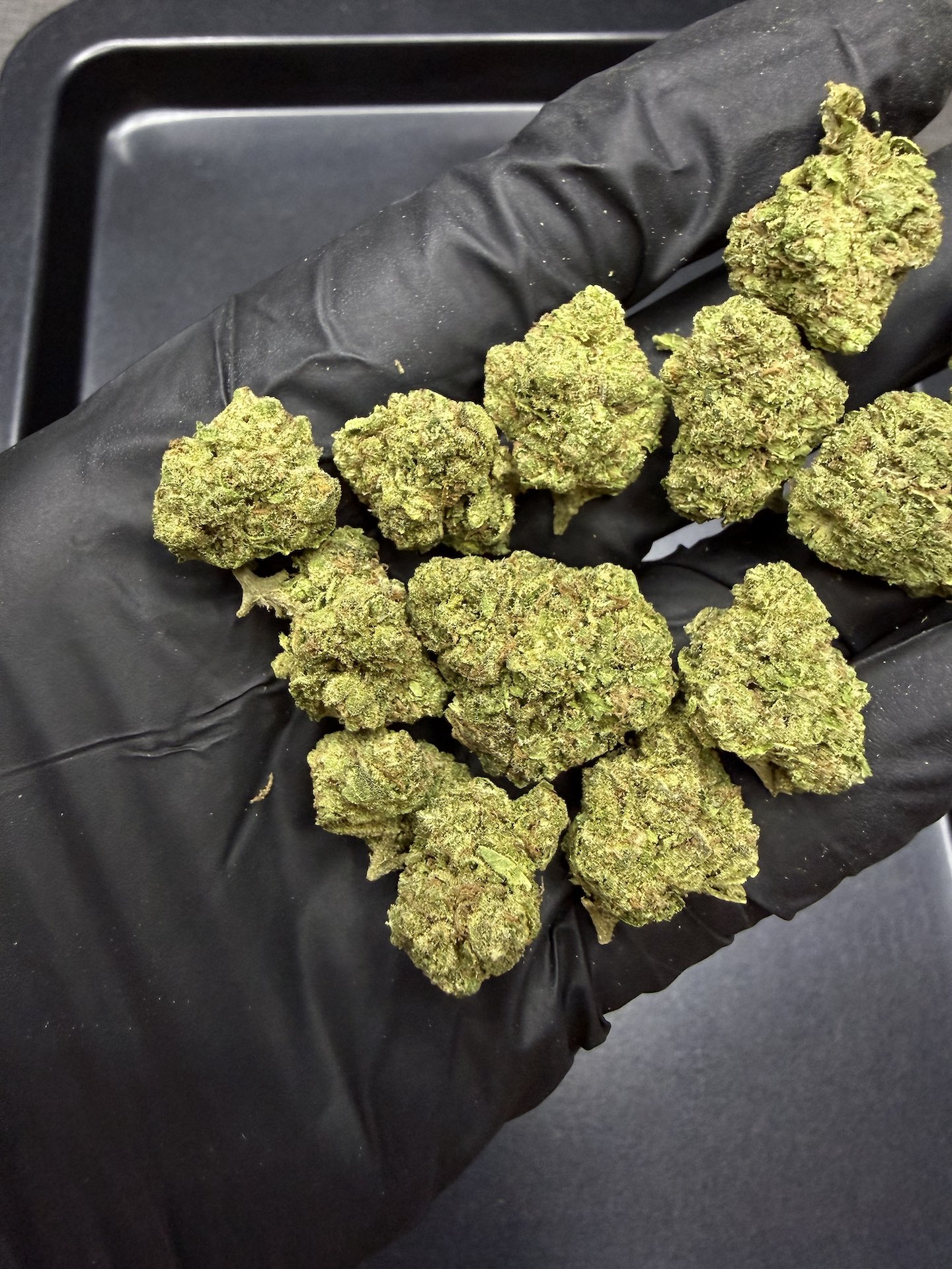 Colombian Gold THC 25%+ ðļ - Image 4