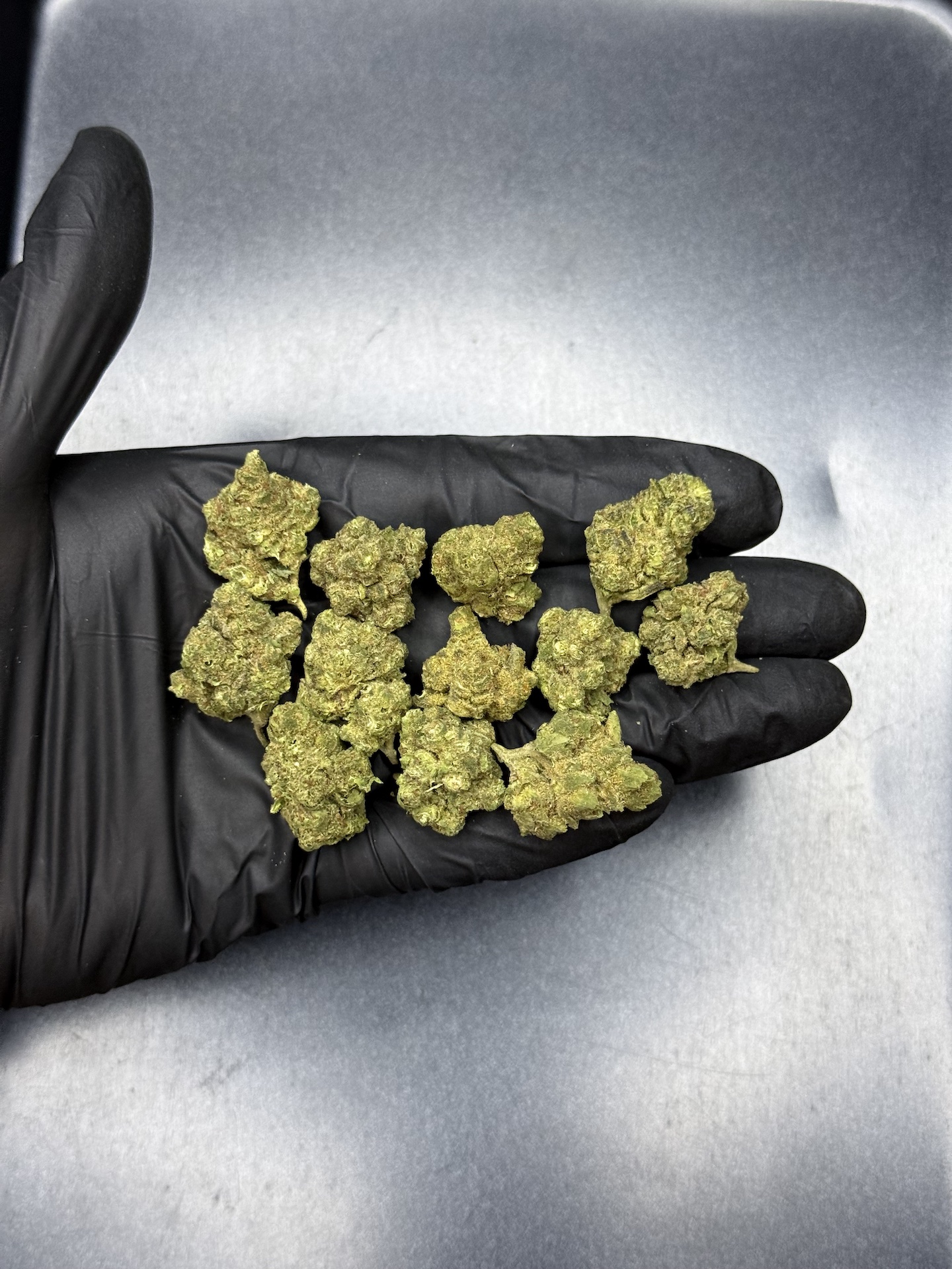 Point Break THC 25%+ ðļ - Image 2