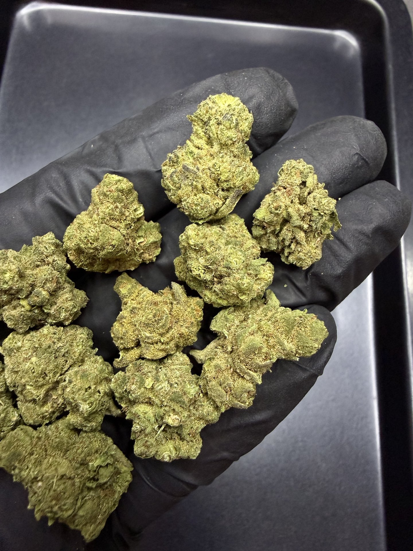 Point Break THC 25%+ ðļ - Image 5