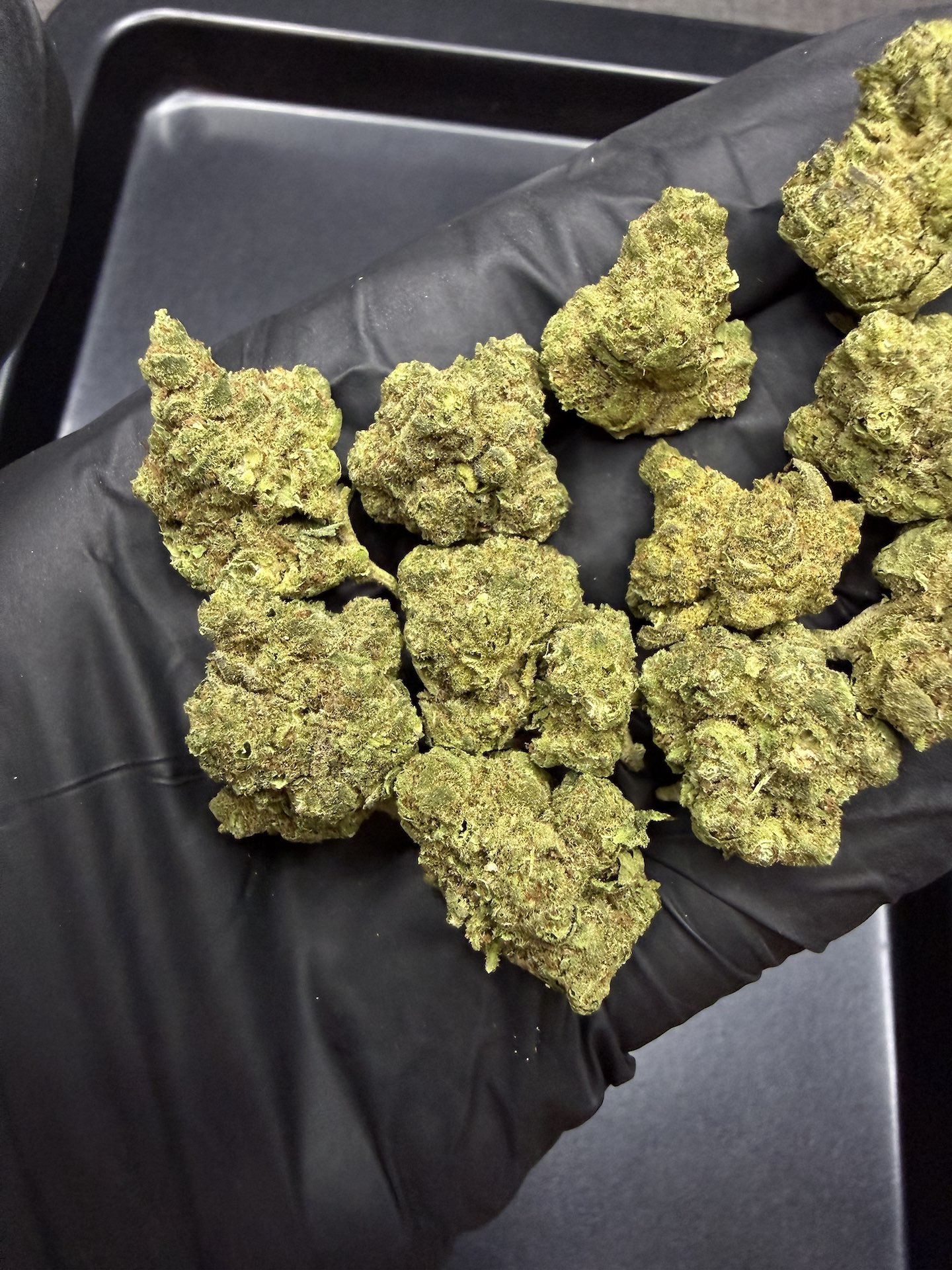 Point Break THC 25%+ ðļ - Image 4