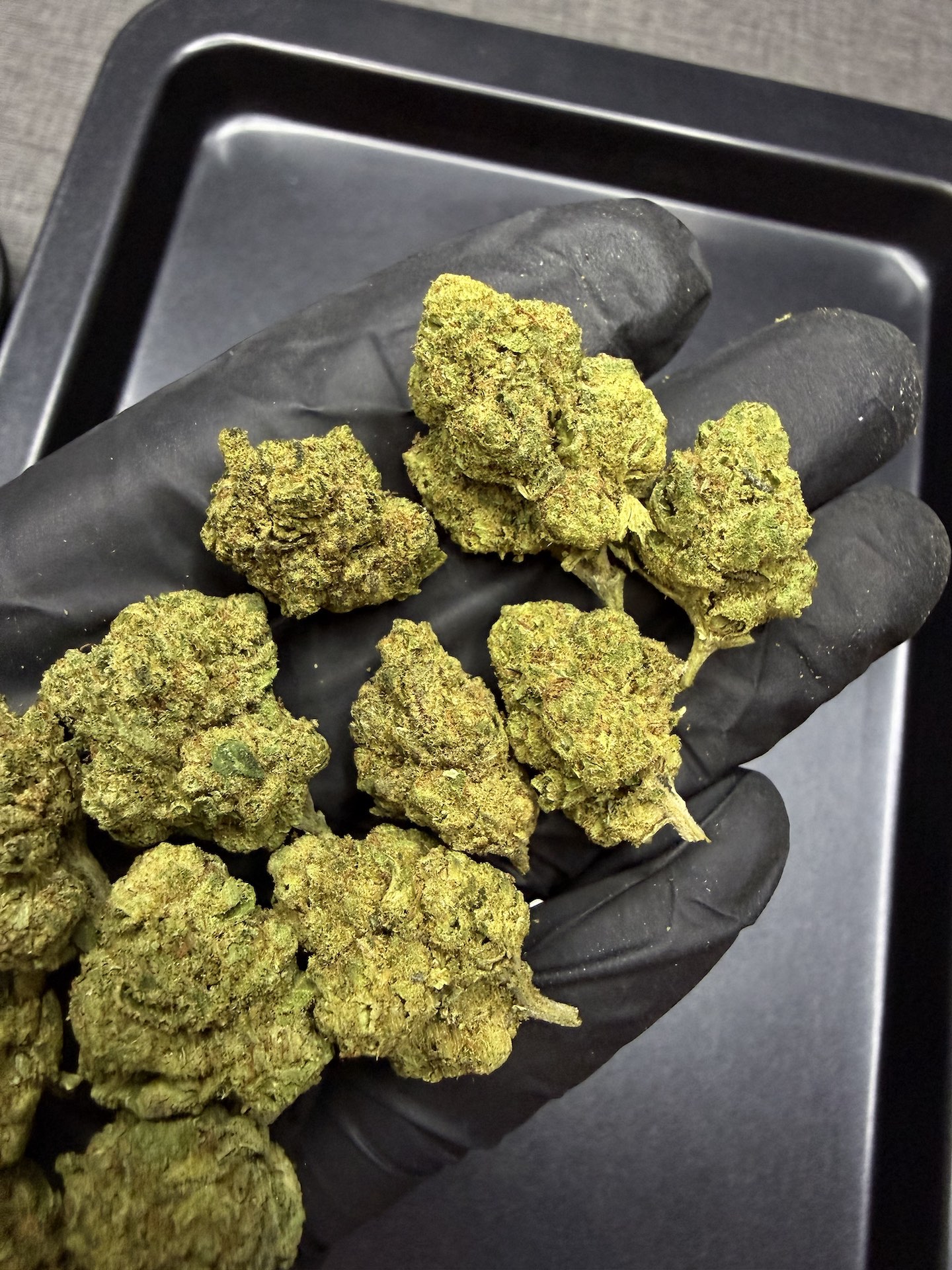 Hindu Kush THC 25%+ ðļ - Image 5