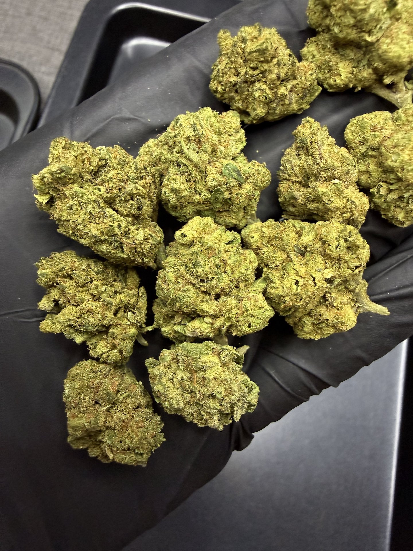 Hindu Kush THC 25%+ ðļ - Image 4