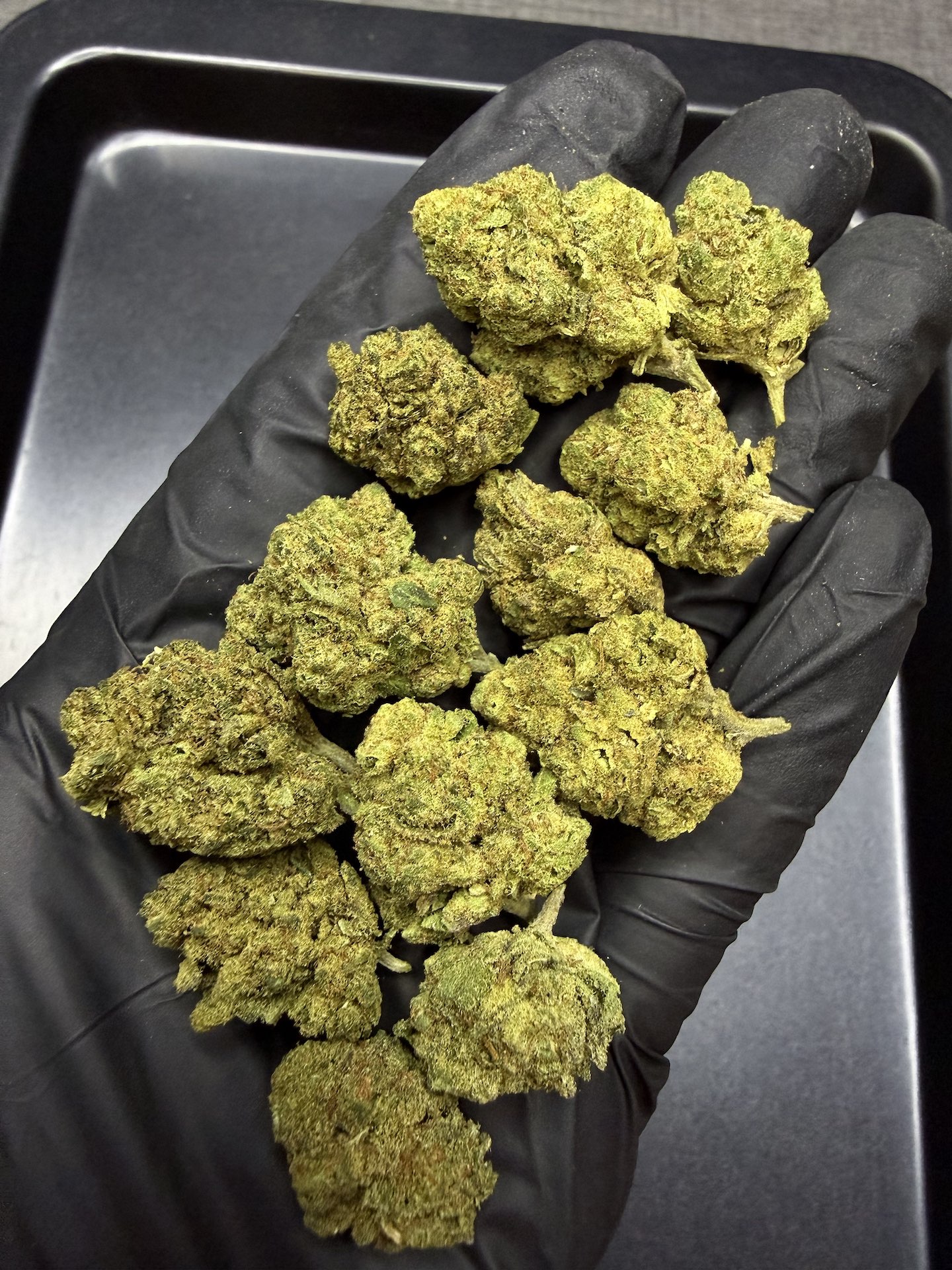 Hindu Kush THC 25%+ ðļ - Image 3